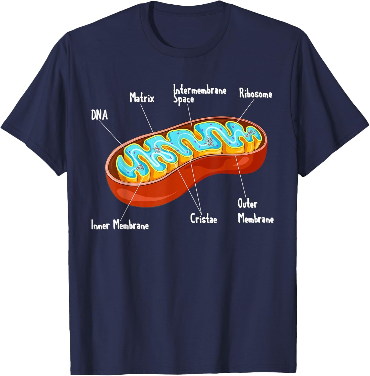 Mitochondria Cell Biology Biologist Science Teacher Student T-Shirt - T-Shirt | Navy