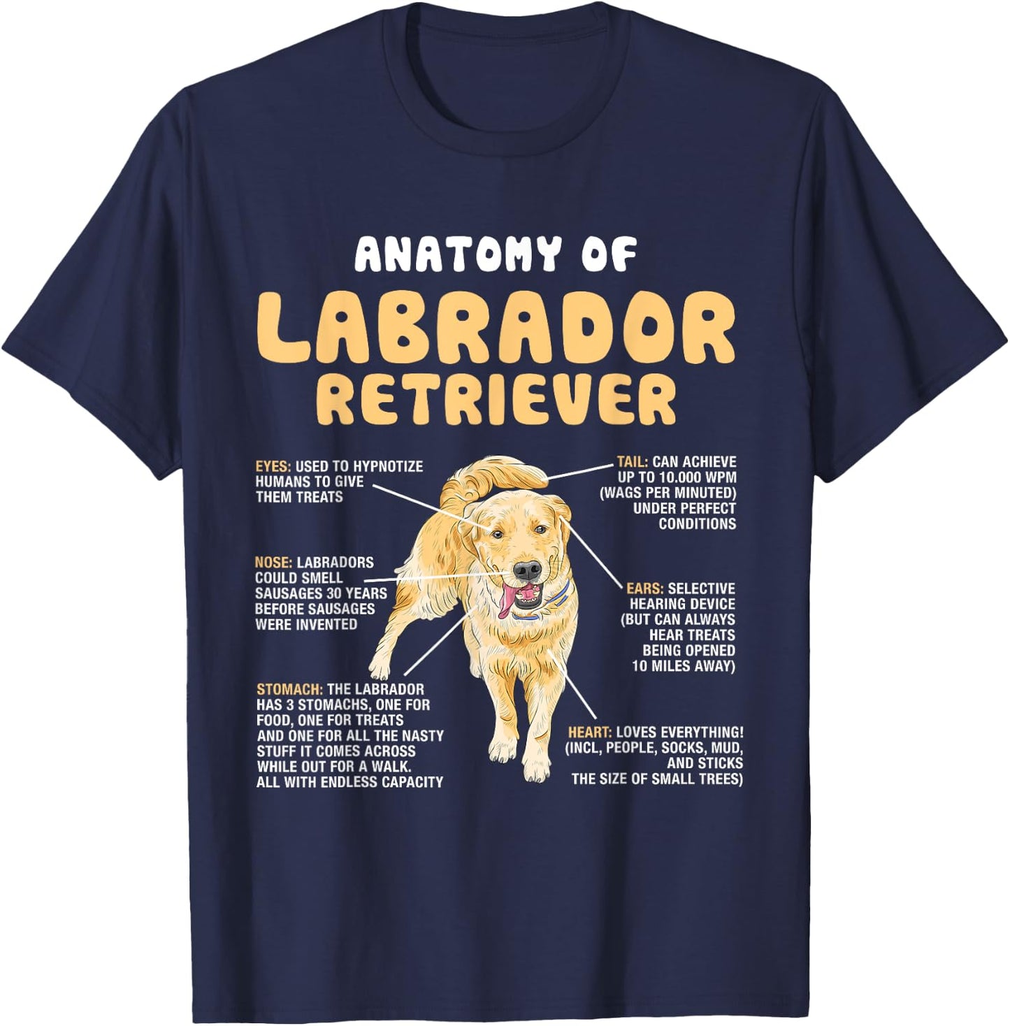 Anatomy Of Labrador Retriever Lovers Funny Lab Owners T-Shirt - T-Shirt | Navy
