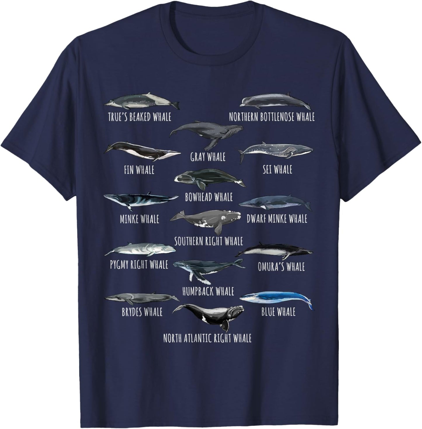 Different Whale Species Biology Types Of Whales T-Shirt - T-Shirt | Navy