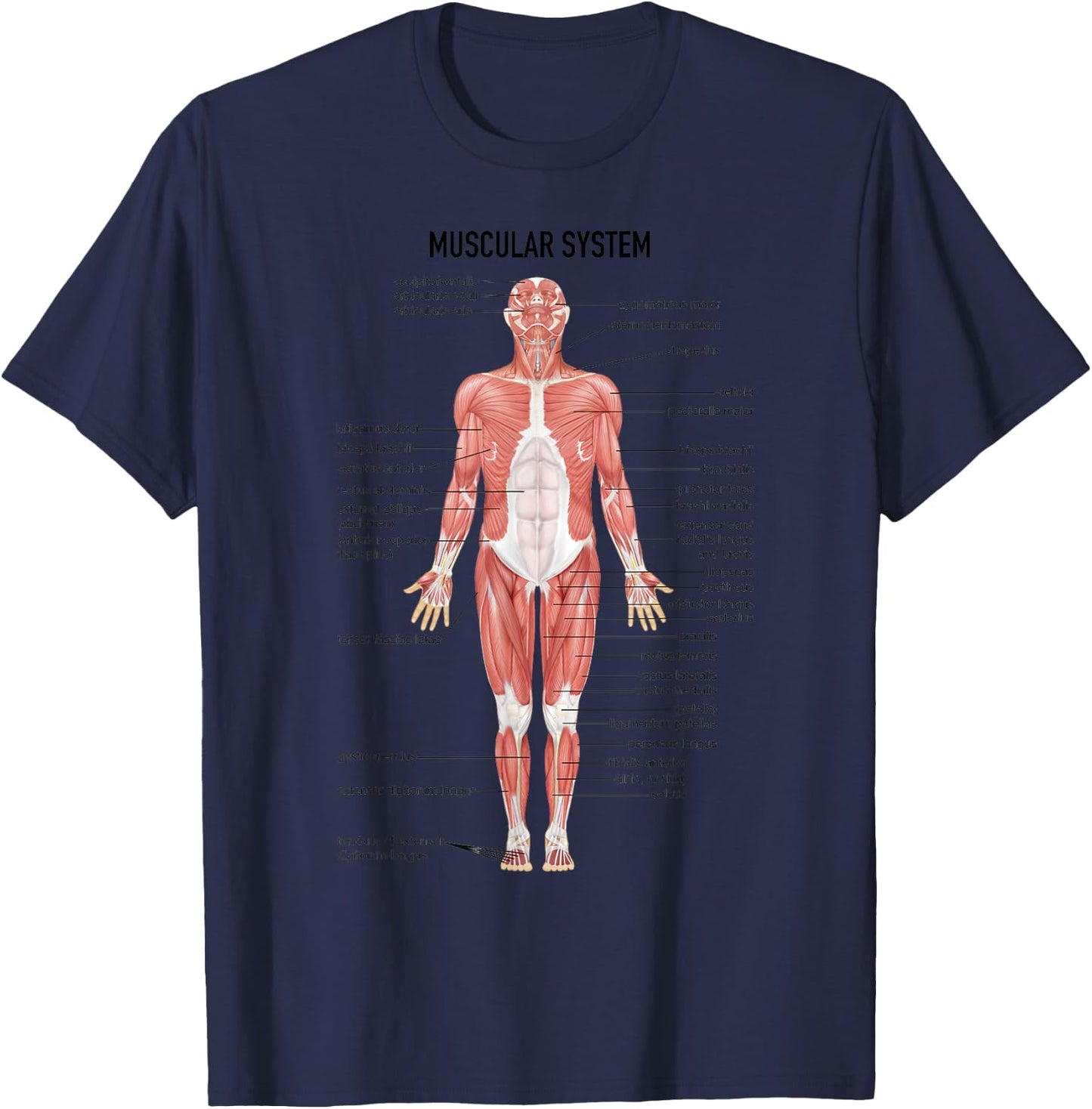 Muscular System Nurse Doctor Funny Med Medical Jokes Humor T-Shirt - T-Shirt | Navy