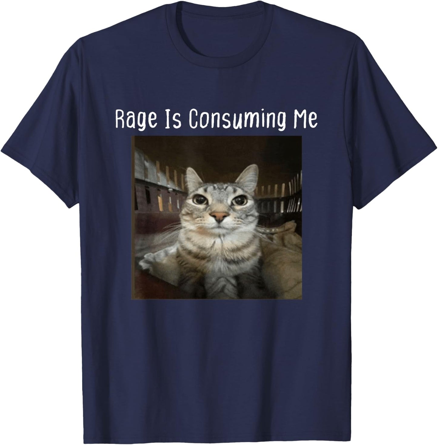 Rage Is Consuming Me Silly Staring Cat Meme T-Shirt - T-Shirt | Navy
