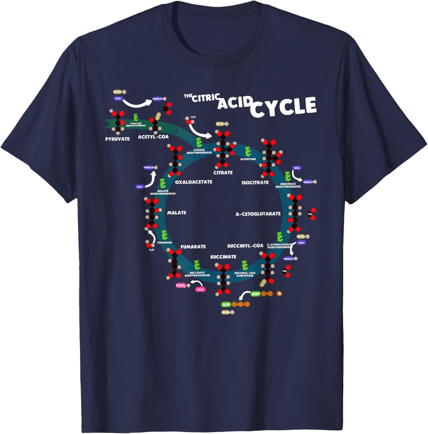 The citric acid cycle T-Shirt - T-Shirt | Navy