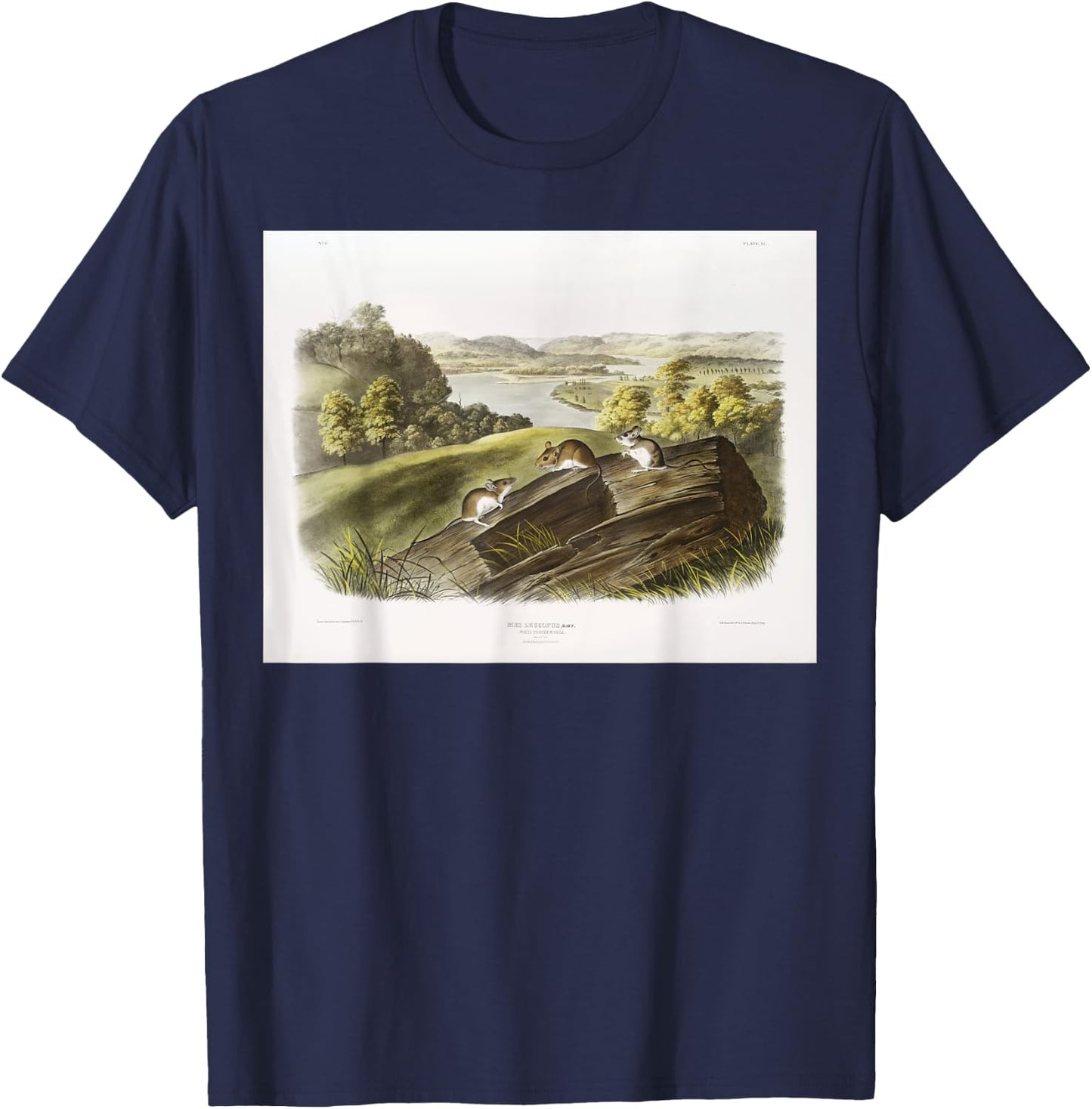 White-footed Mouse Animal Illustration & Women T-Shirt - T-Shirt | Navy