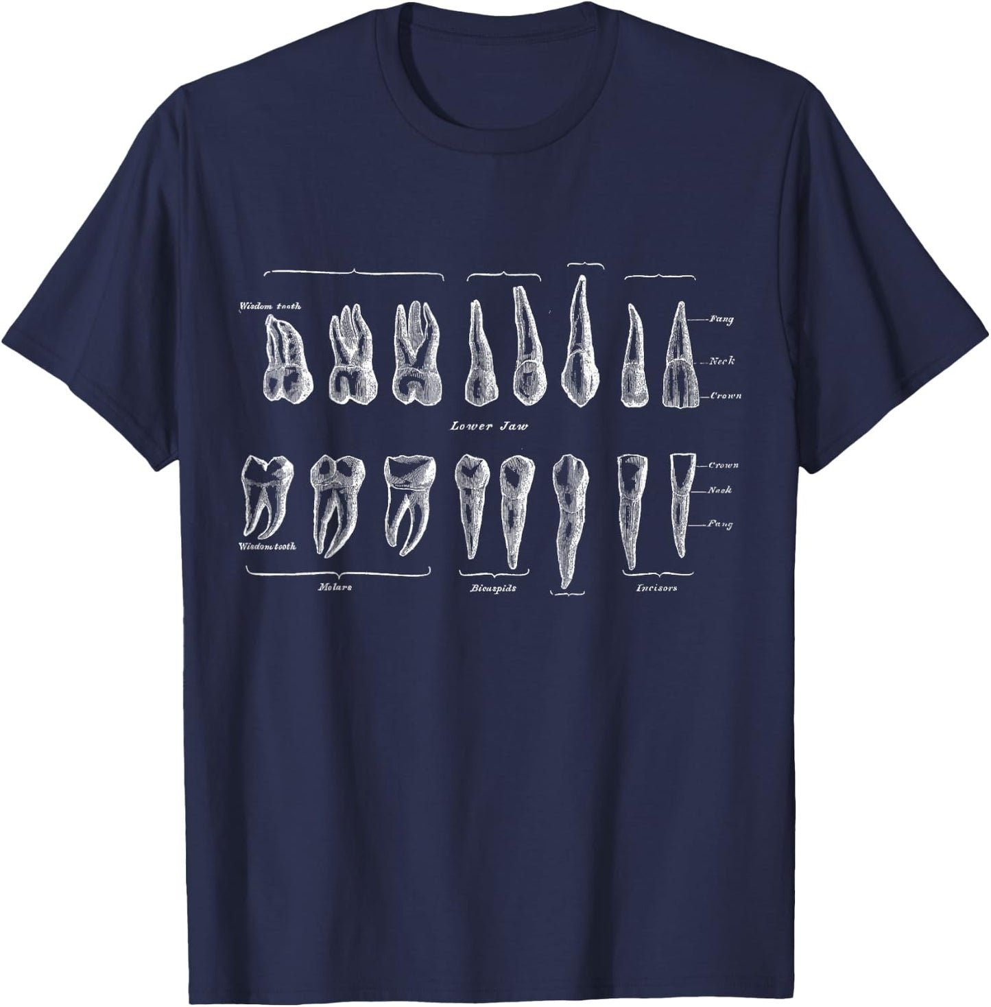 Human Teeth Dental Vintage Anatomy Retro Dentistry T-Shirt - T-Shirt | Navy