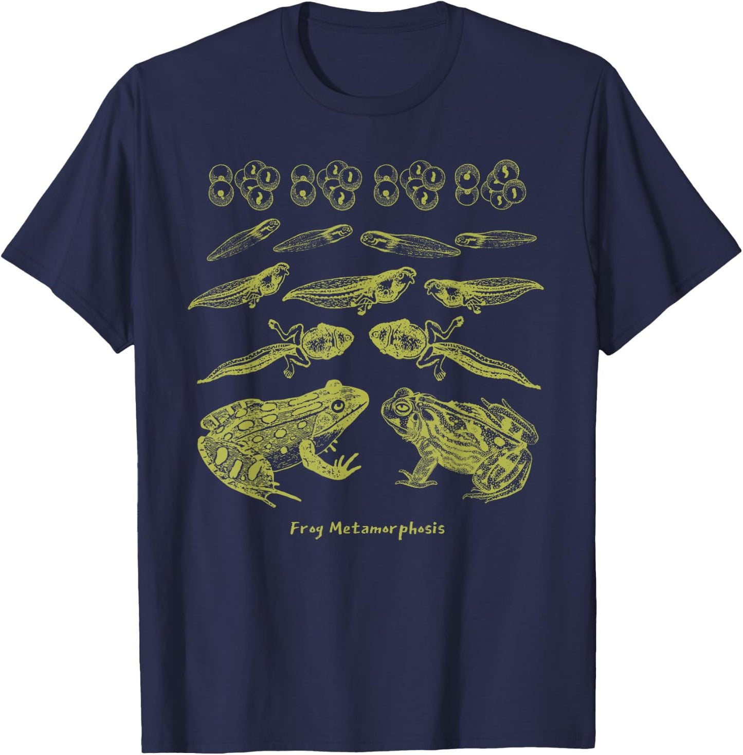 Frog Tadpole Life Cycle Biology Teacher Vintage Science T-Shirt - T-Shirt | Navy