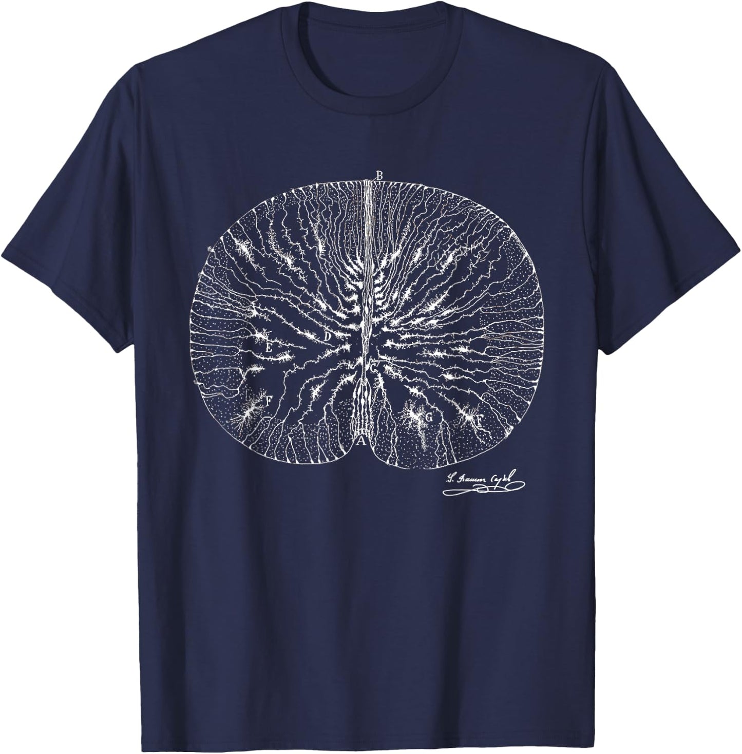 Brain Neuron Ramon y Cajal Illustration T-Shirt - T-Shirt | Navy