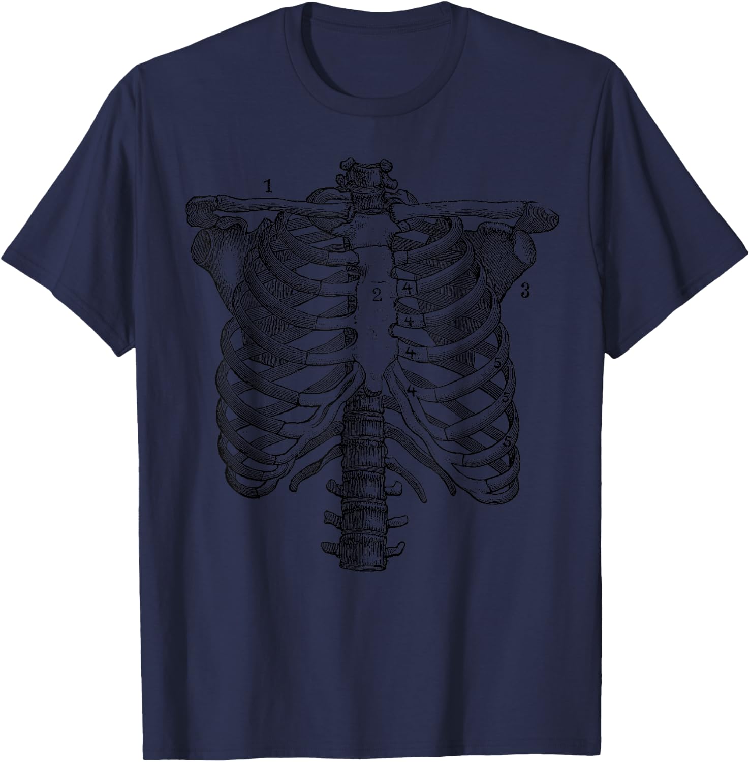 Ribcage Anatomy Print T-Shirt - T-Shirt | Navy