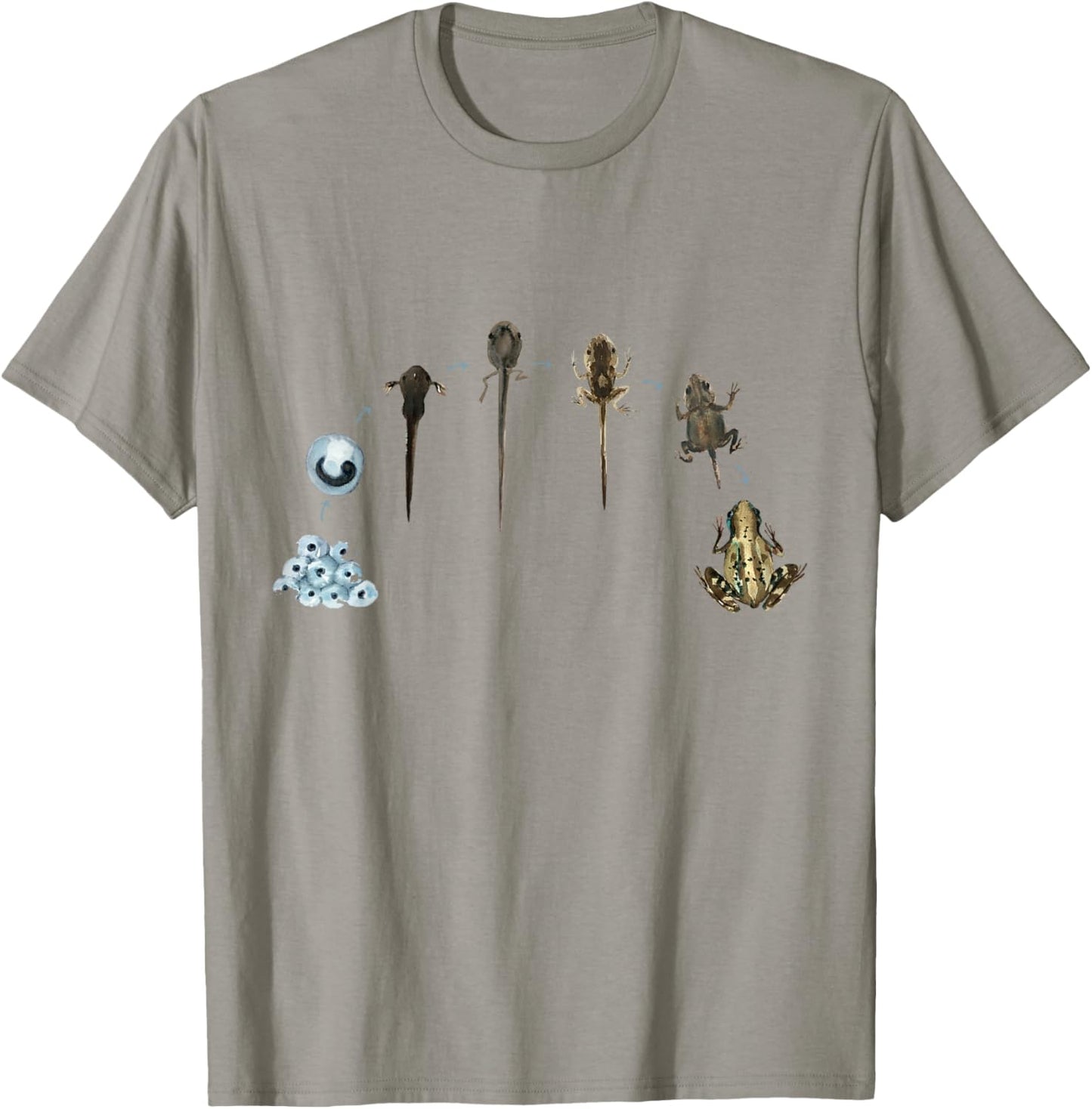 Frog Life Cycle Amphibian Frog Lover Biology Science Tadpole T-Shirt - T-Shirt | Sand