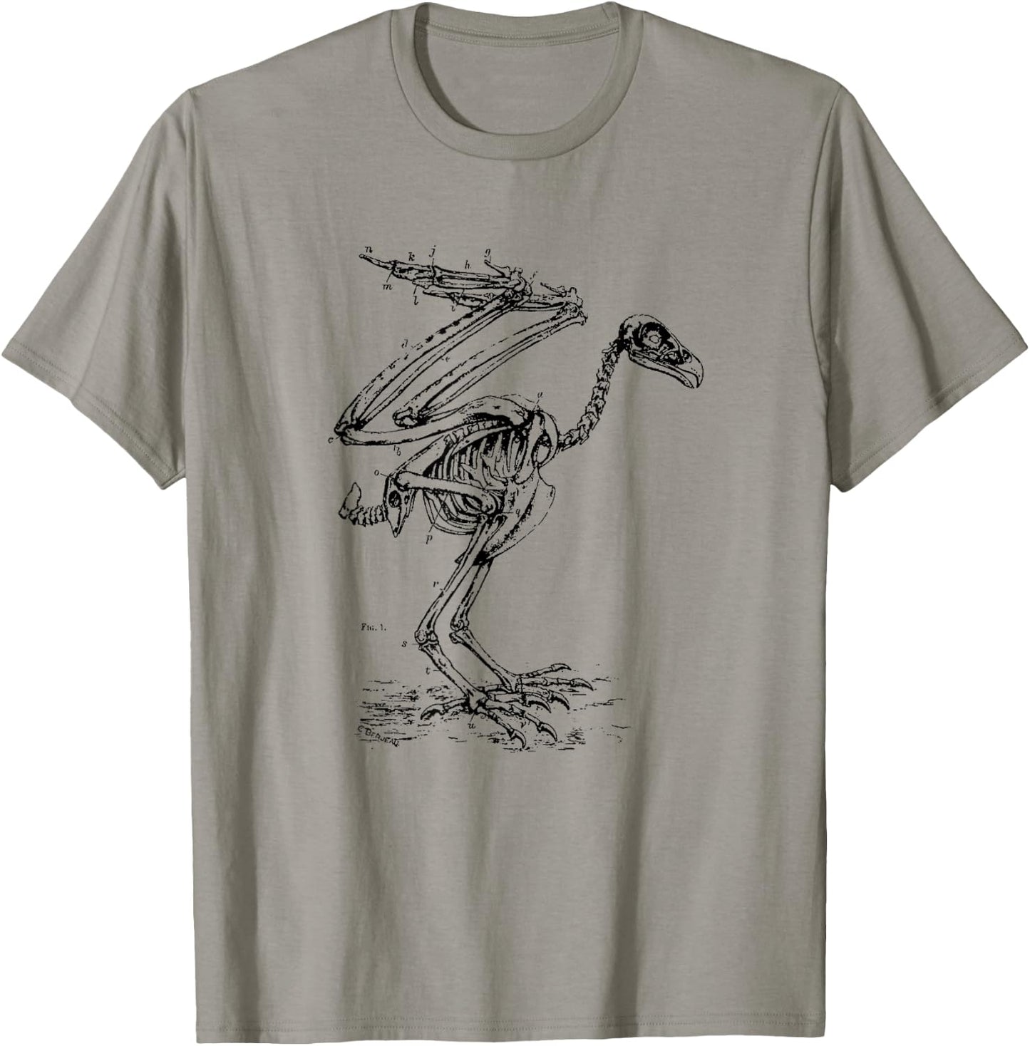 Vintage Eagle Skeleton - Scientific Diagram Bird Skull T-Shirt - T-Shirt | Sand