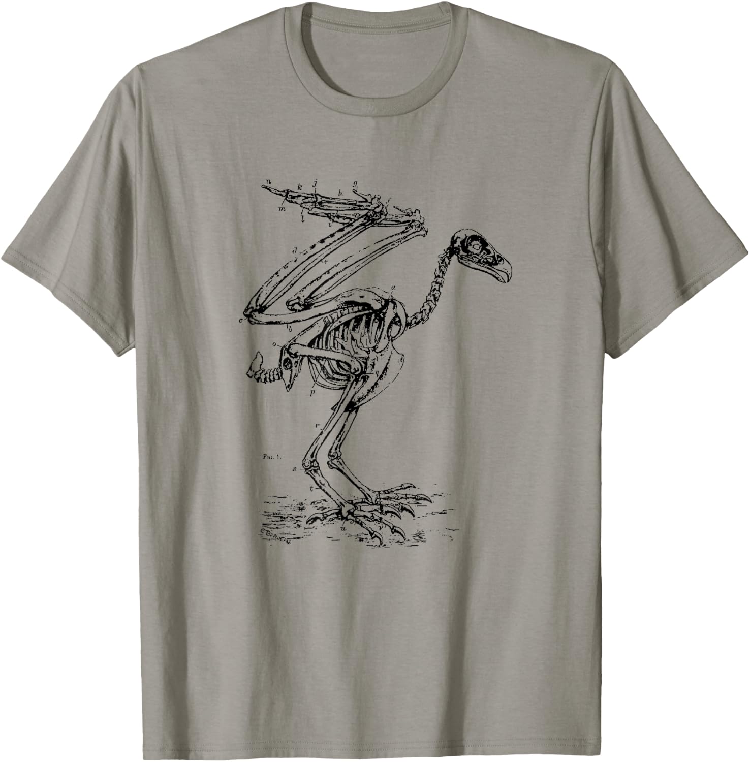 Vintage Eagle Skeleton - Scientific Diagram Bird Skull T-Shirt - T-Shirt | Sand