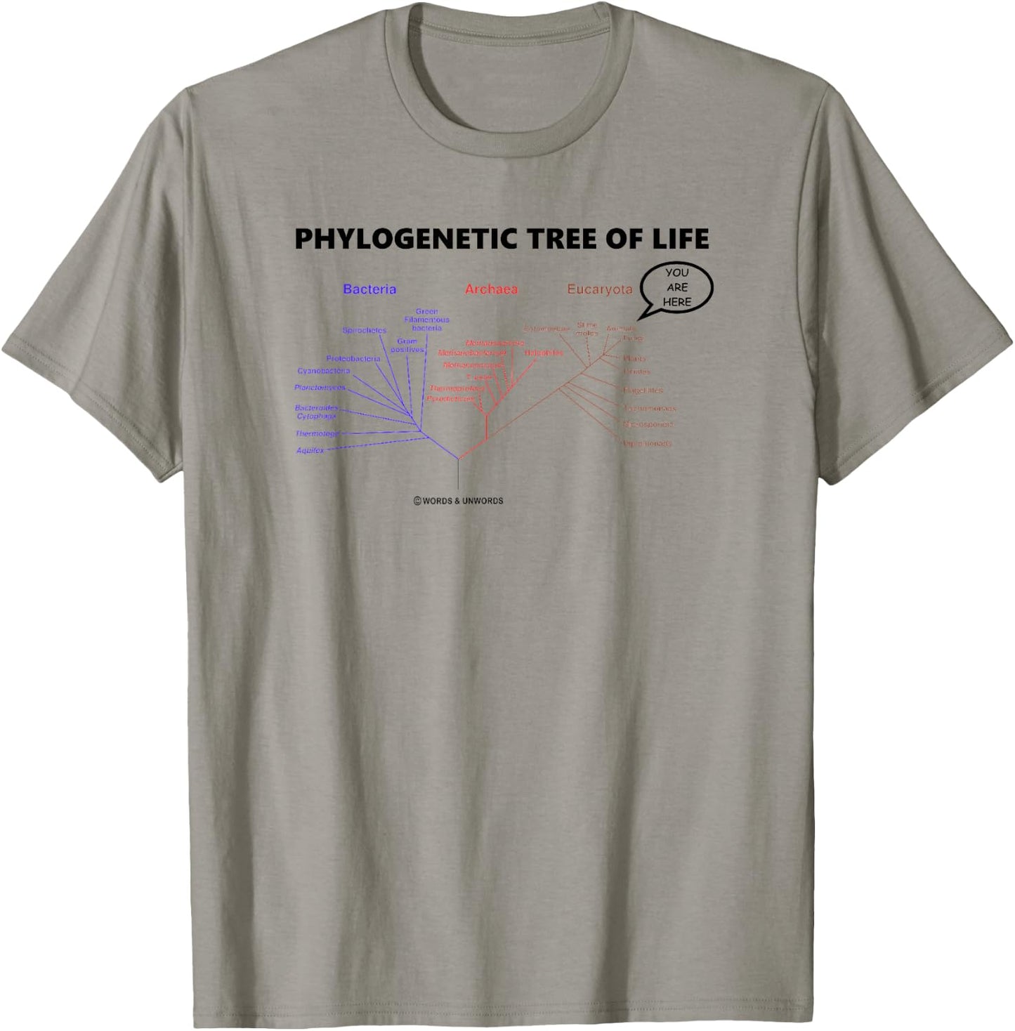 Phylogenetic Tree Of Life You Are Here Biology Geek Humor T-Shirt - T-Shirt | Sand