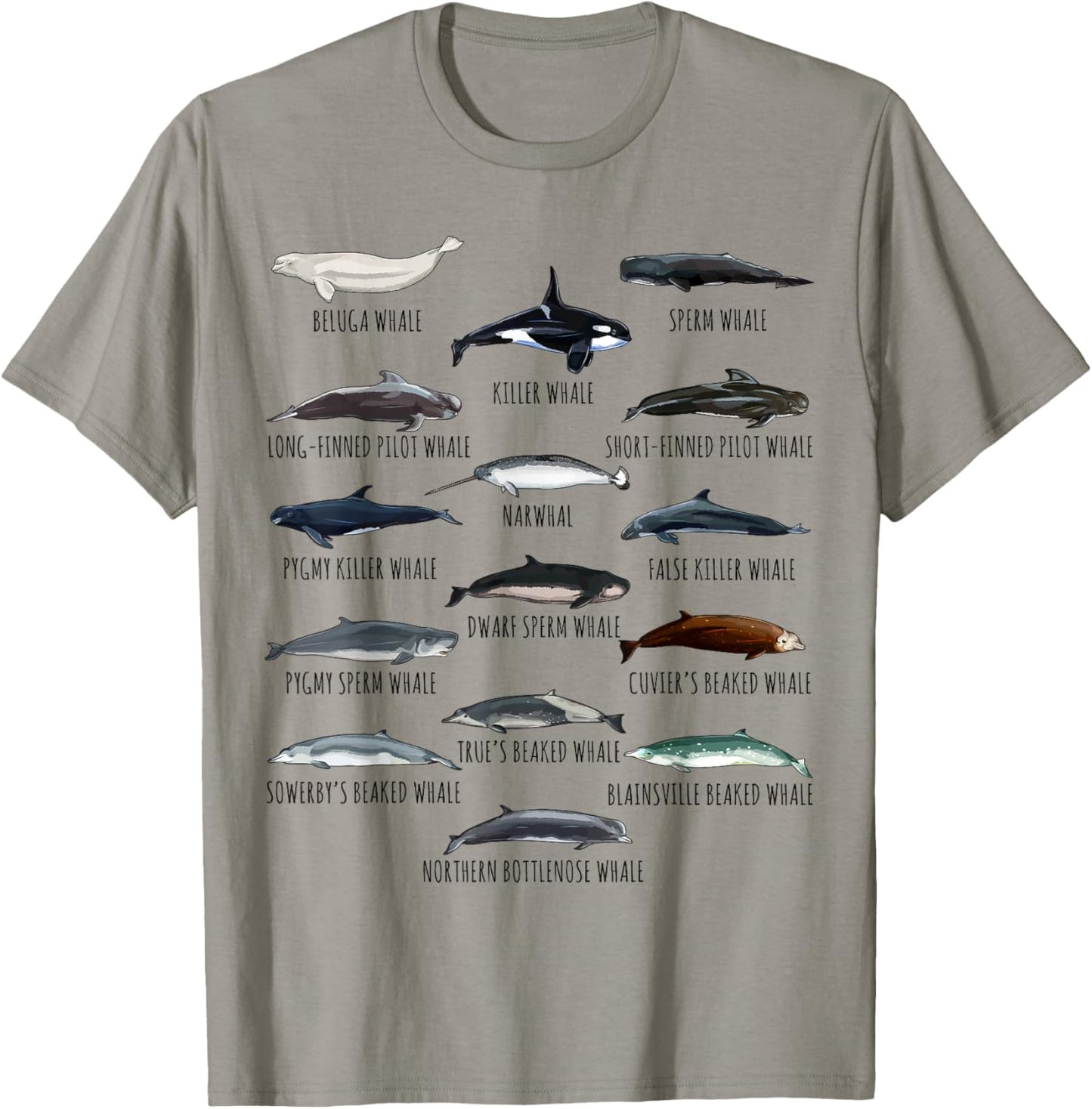 Whales Species Biology Different Types Of Whales T-Shirt - T-Shirt | Sand
