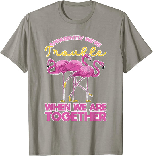 Apparently Were Trouble When We Are Together Funny Flamingo T-Shirt - T-Shirt | Sand