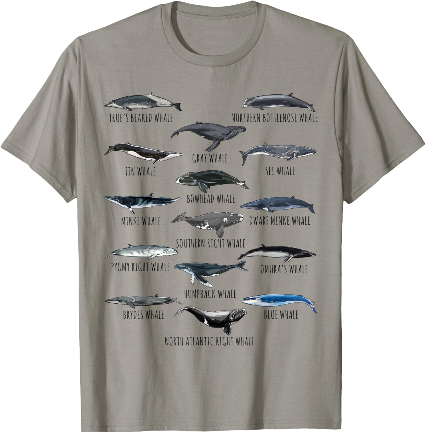 Different Whale Species Biology Types Of Whales T-Shirt - T-Shirt | Sand