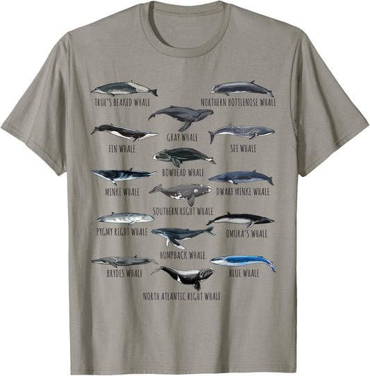 Different Whale Species Biology Types Of Whales T-Shirt - T-Shirt | Sand
