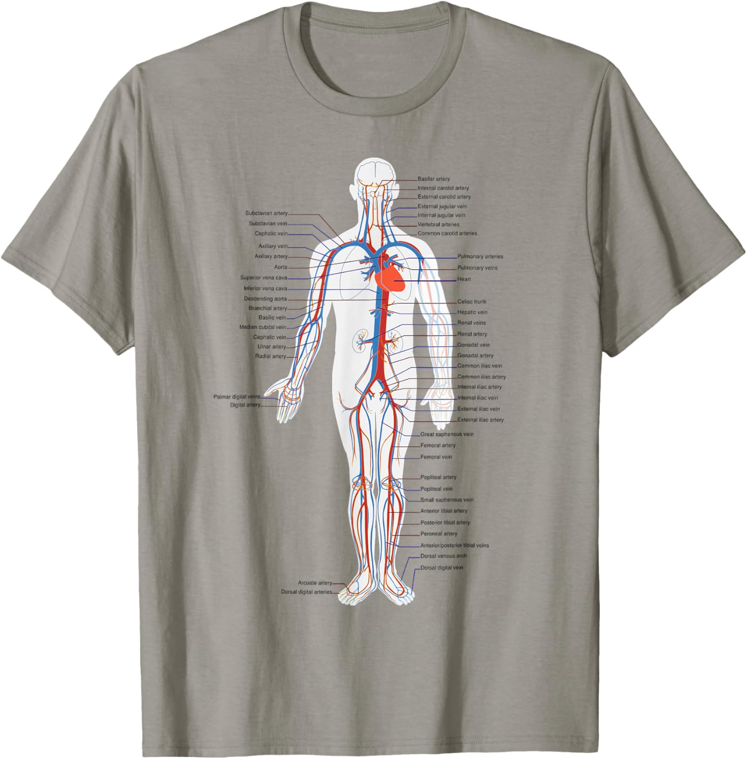 The Human Circulatory System Vascular System Anatomy Biology T-Shirt - T-Shirt | Sand