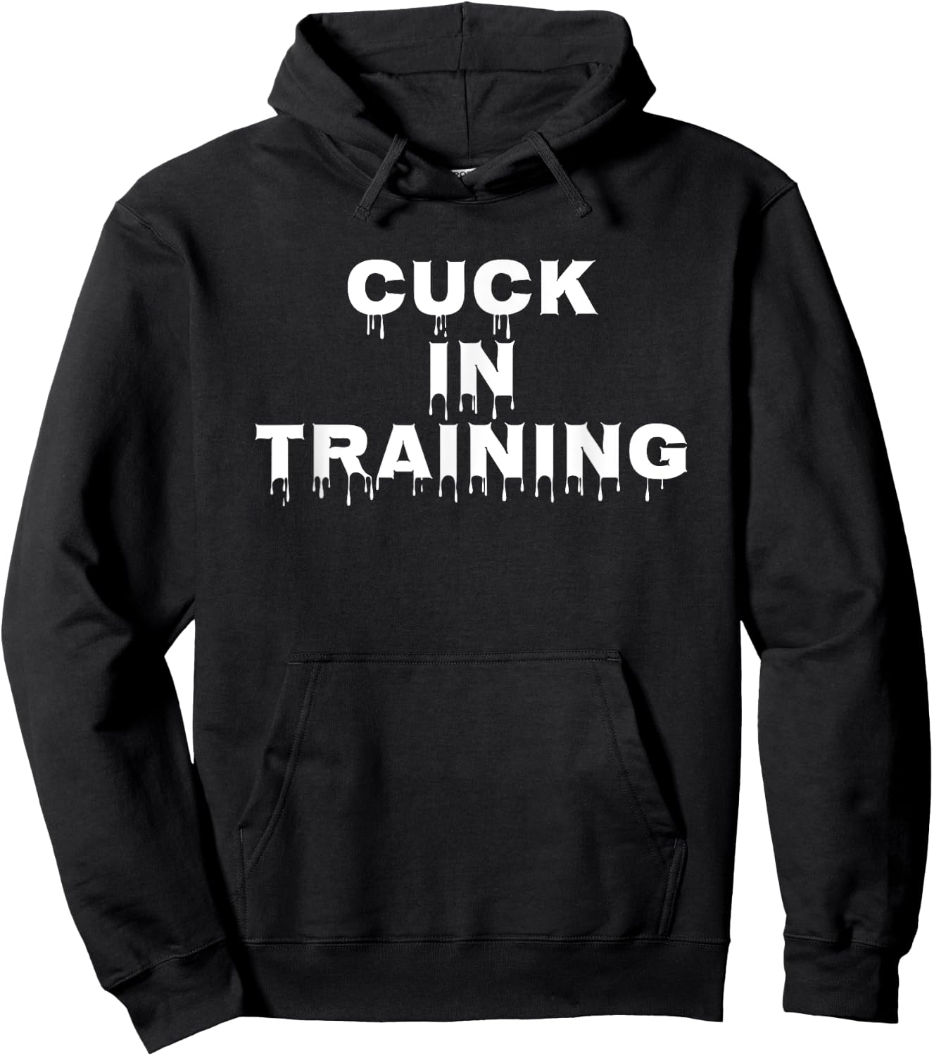 Cuck In Training Adult Novelty Kinky Cuckold Dom Sub Shirt Hoodie - Hoodie | Black
