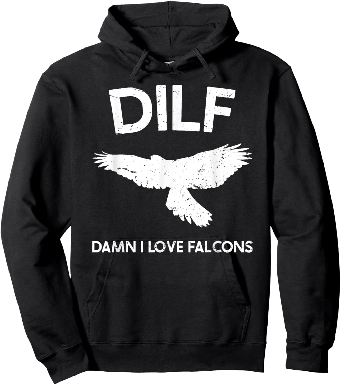 DILF-Damn I Love Falcons Funny Saying Falconry Lovers Hoodie - Hoodie | Black