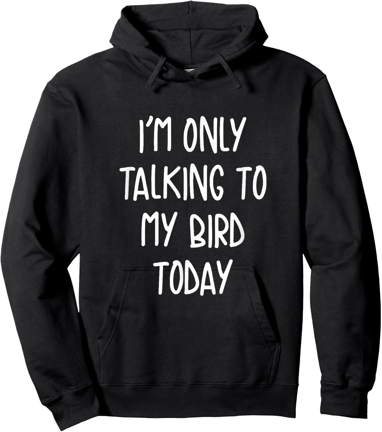 Funny Pet I'm Only Talking To My Bird Today Hoodie - Hoodie | Black