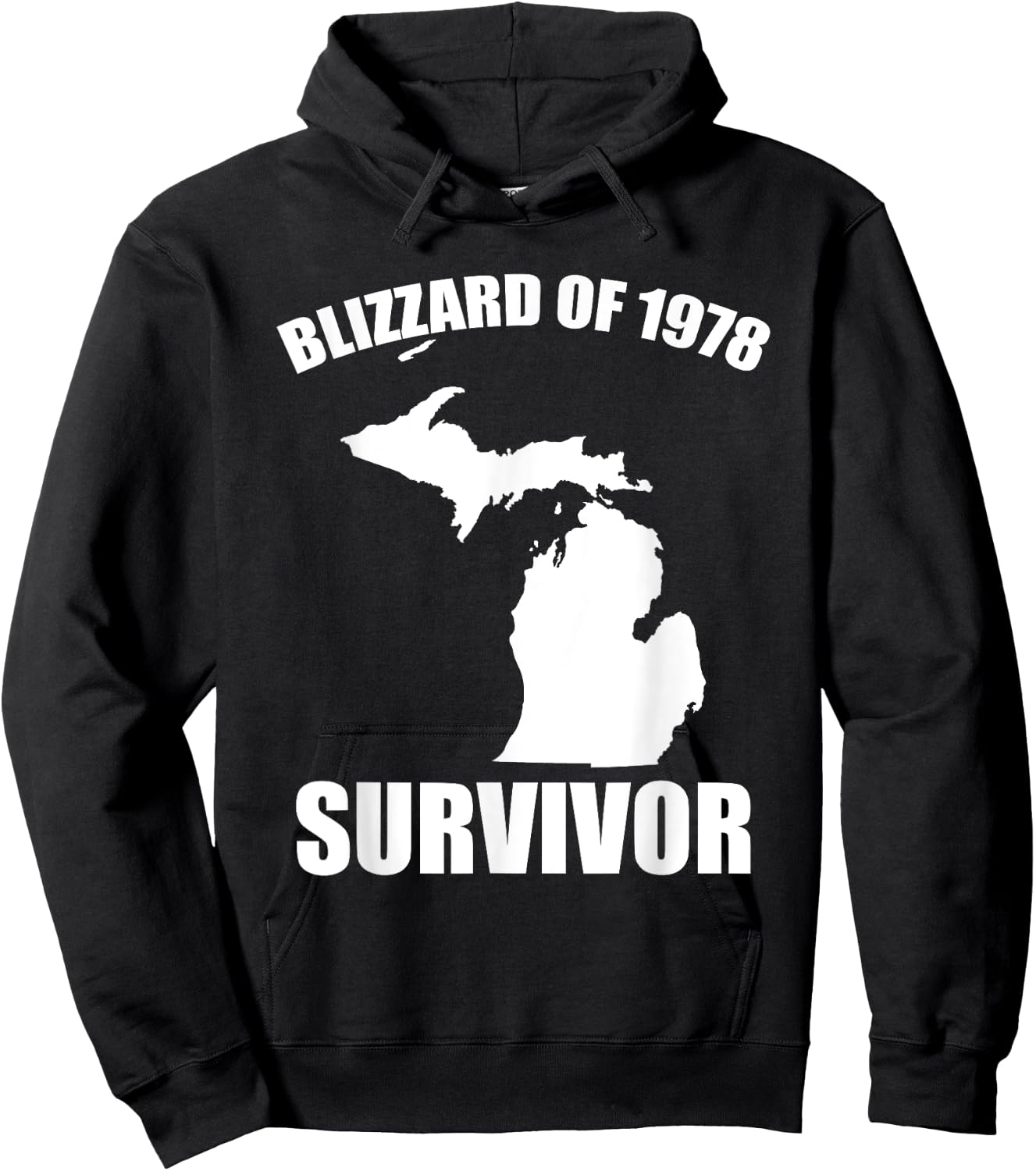 Blizzard Of 1978 Survivor Funny Michigan Winter Snowstorm Hoodie - Hoodie | Black