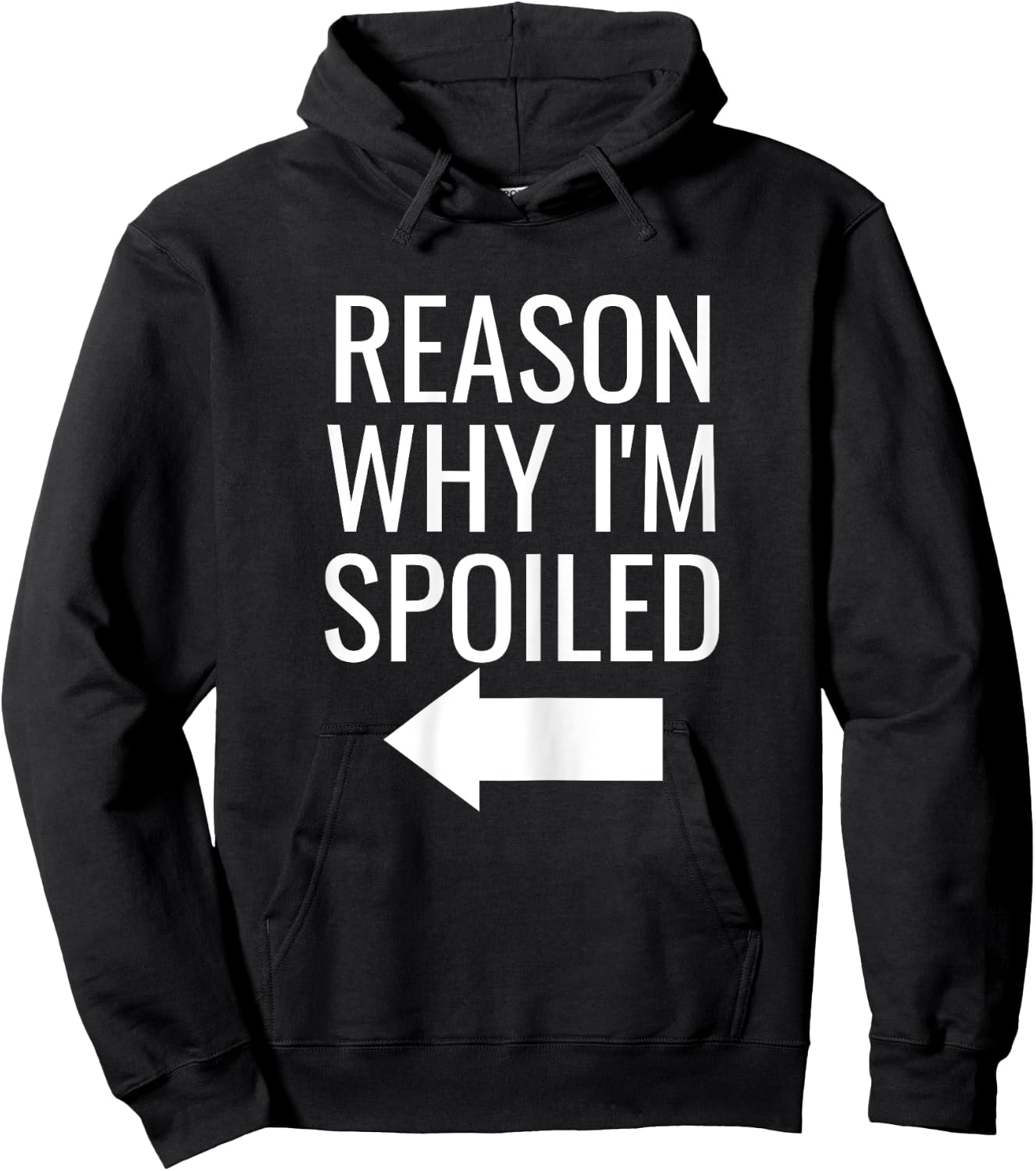 Reason Why I'm Broke Spoiled Funny Matching Couples Hoodie - Hoodie | Black
