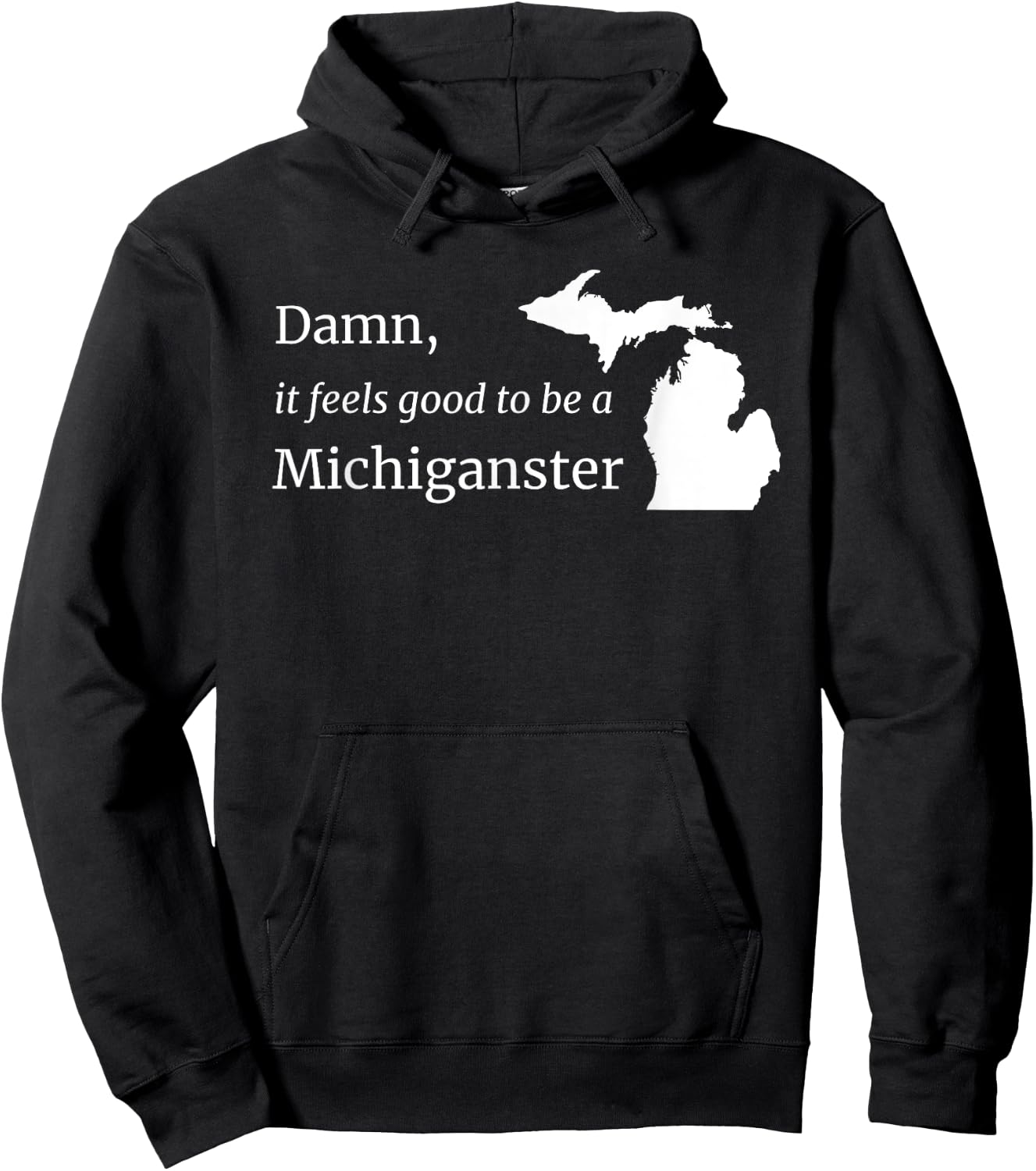 Damn, It Feels Good To Be A Michiganster Hoodie - Hoodie | Black