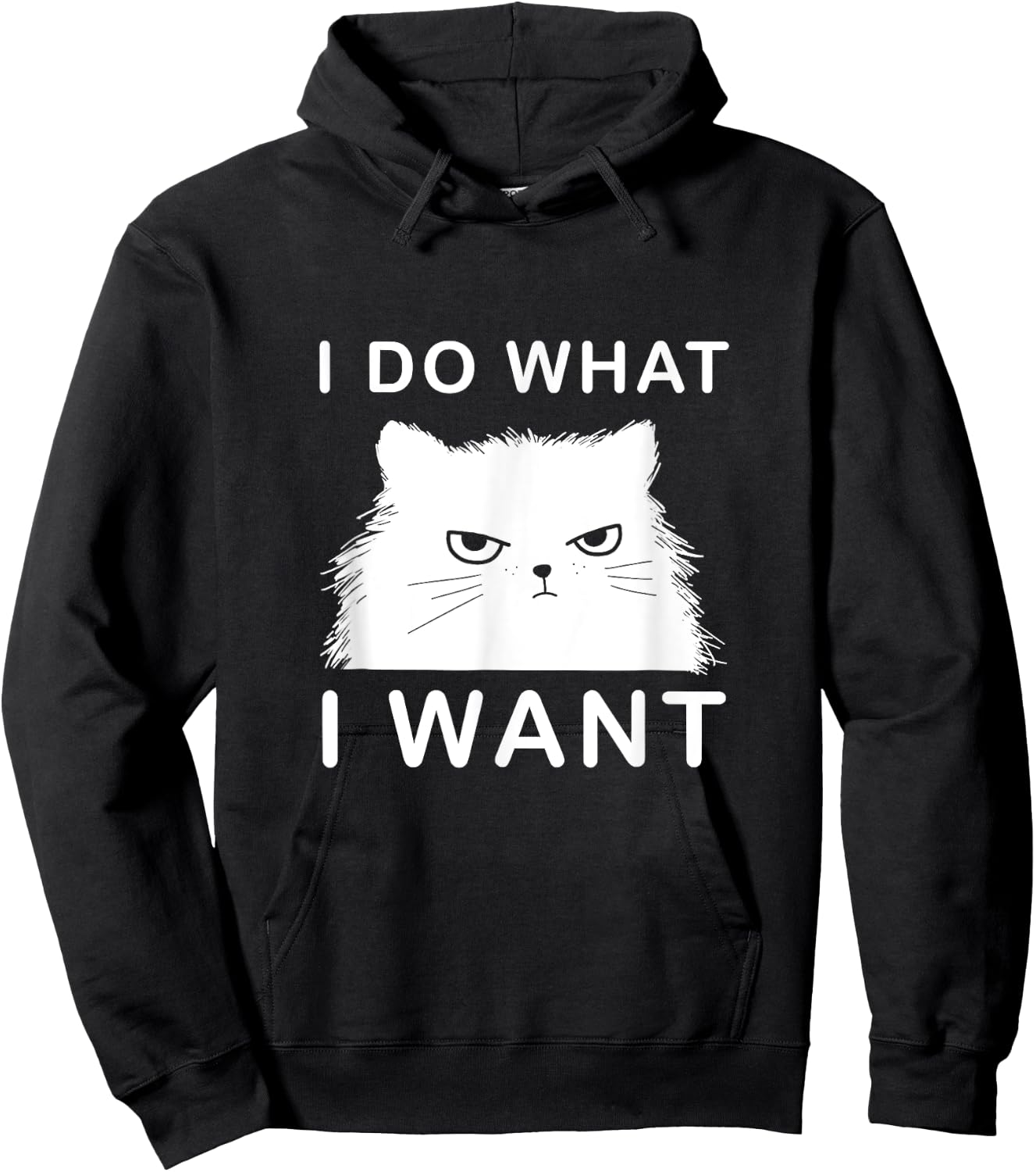 Retro 80s 90s Cat Lovers Funny I Do What I Want Cat Women Hoodie - Hoodie | Black
