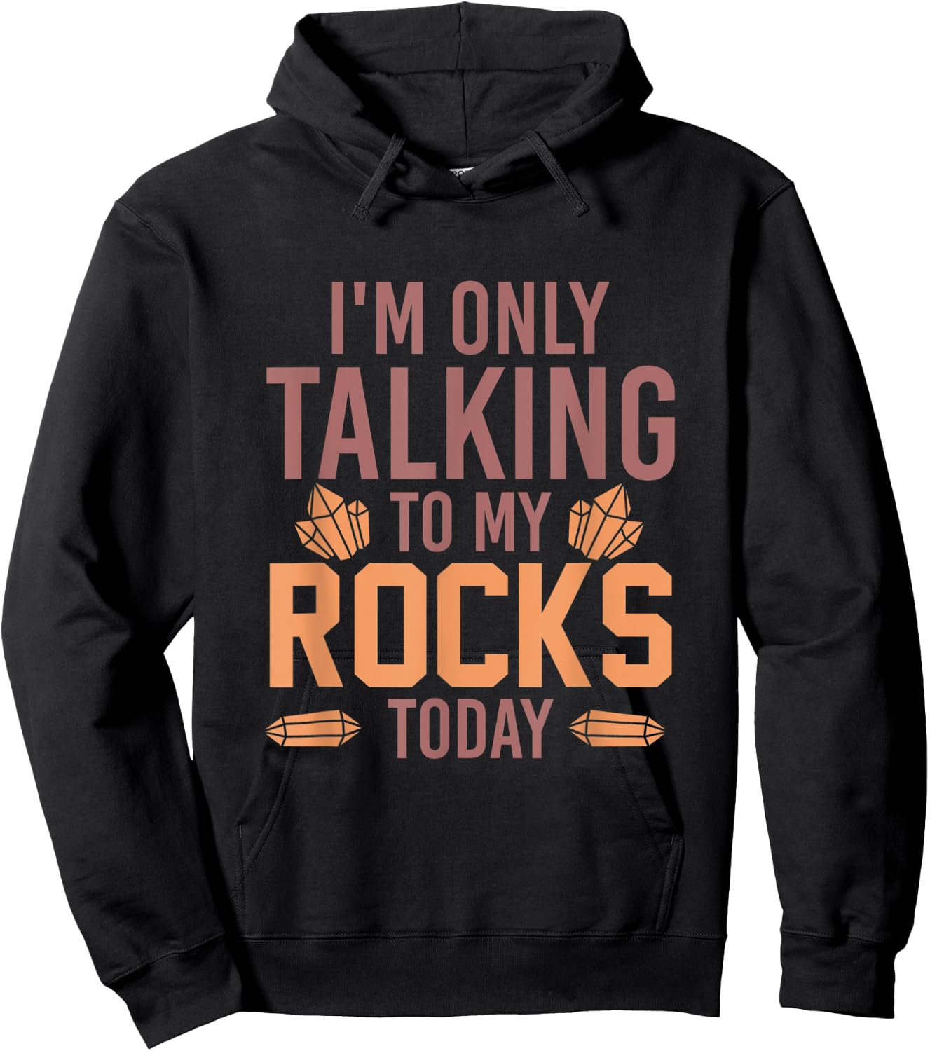Im Only Talking To My Rocks Today Geology Hoodie - Hoodie | Black