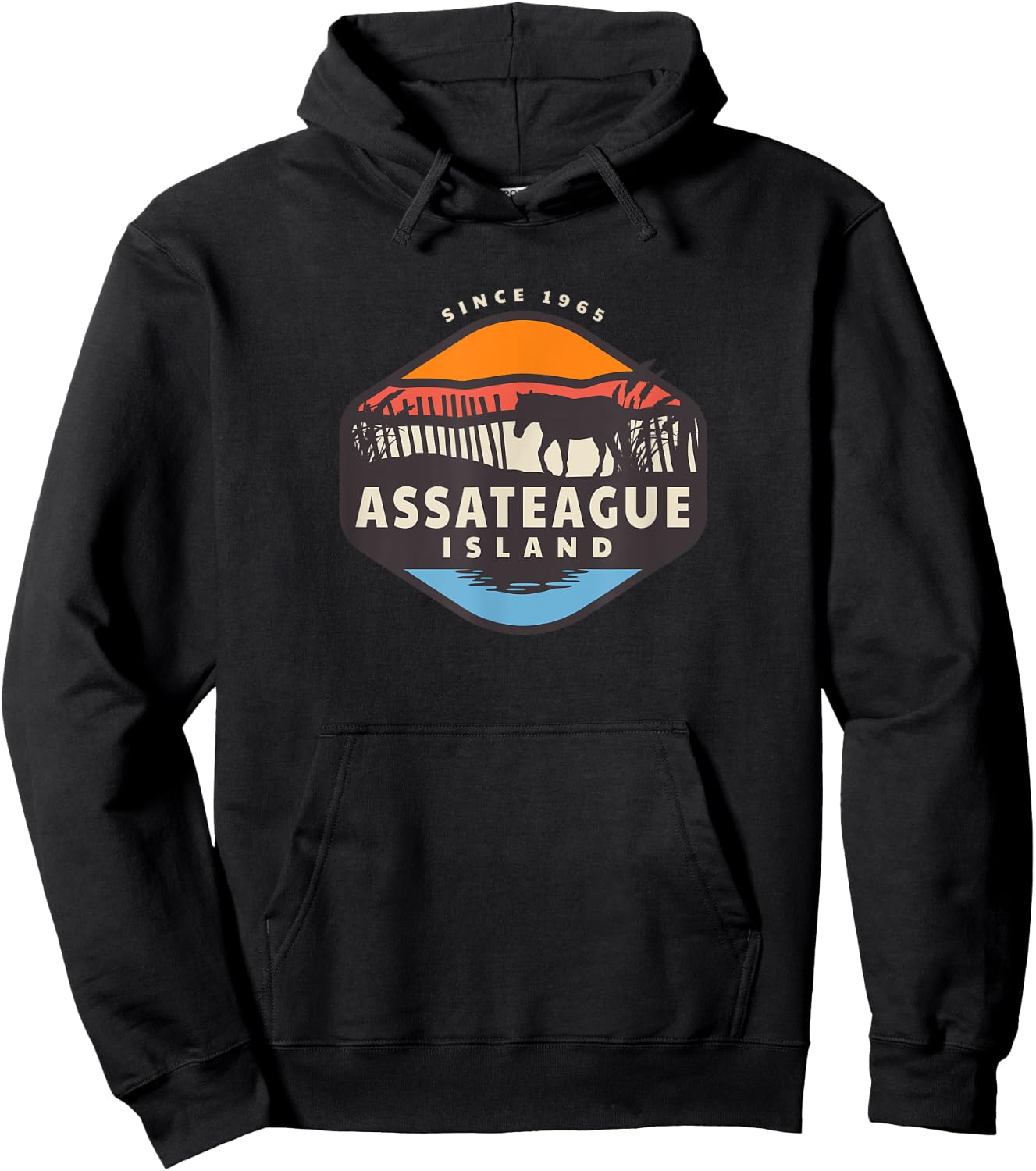 Assateague Island Wild Horse Pony Ponies Hoodie - Hoodie | Black