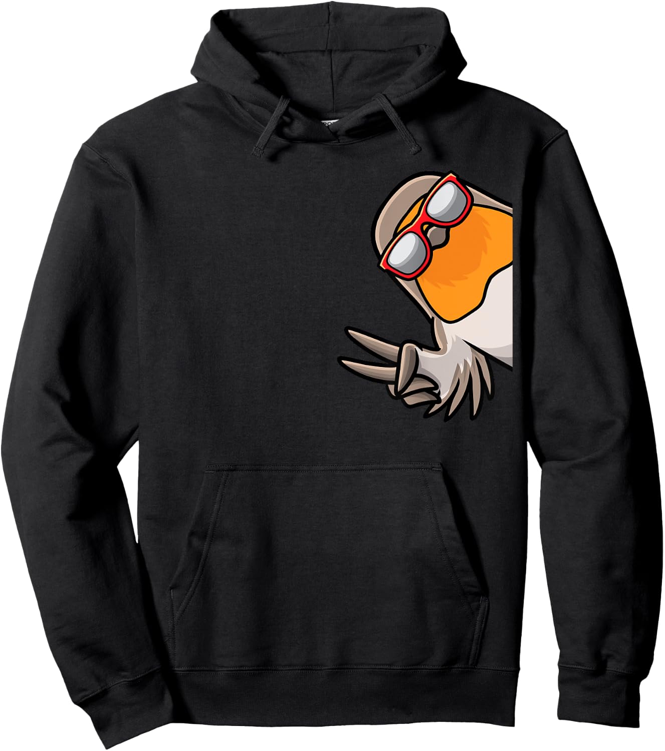 European Robin Birds Hoodie - Hoodie | Black