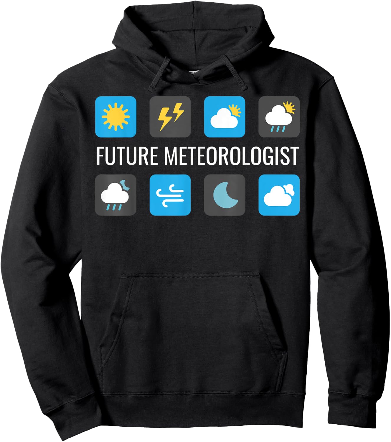 Future Meteorologist Weather Forecast Icons Gift Hoodie - Hoodie | Black