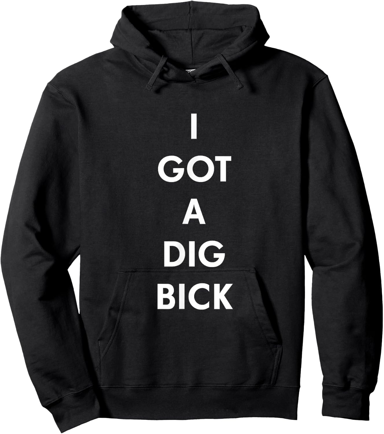 I Got a Dig Bick Funny Shirt Hoodie - Hoodie | Black