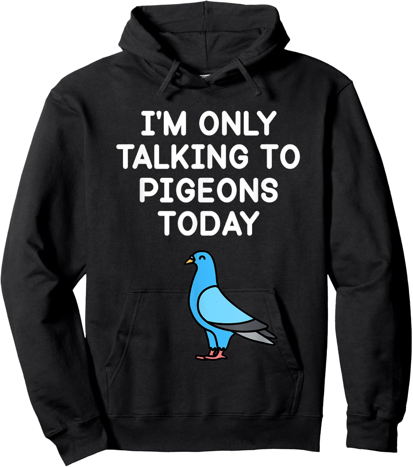 I’m Only Talking To Pigeons Today Funny Pigeon Lover Hoodie - Hoodie | Black