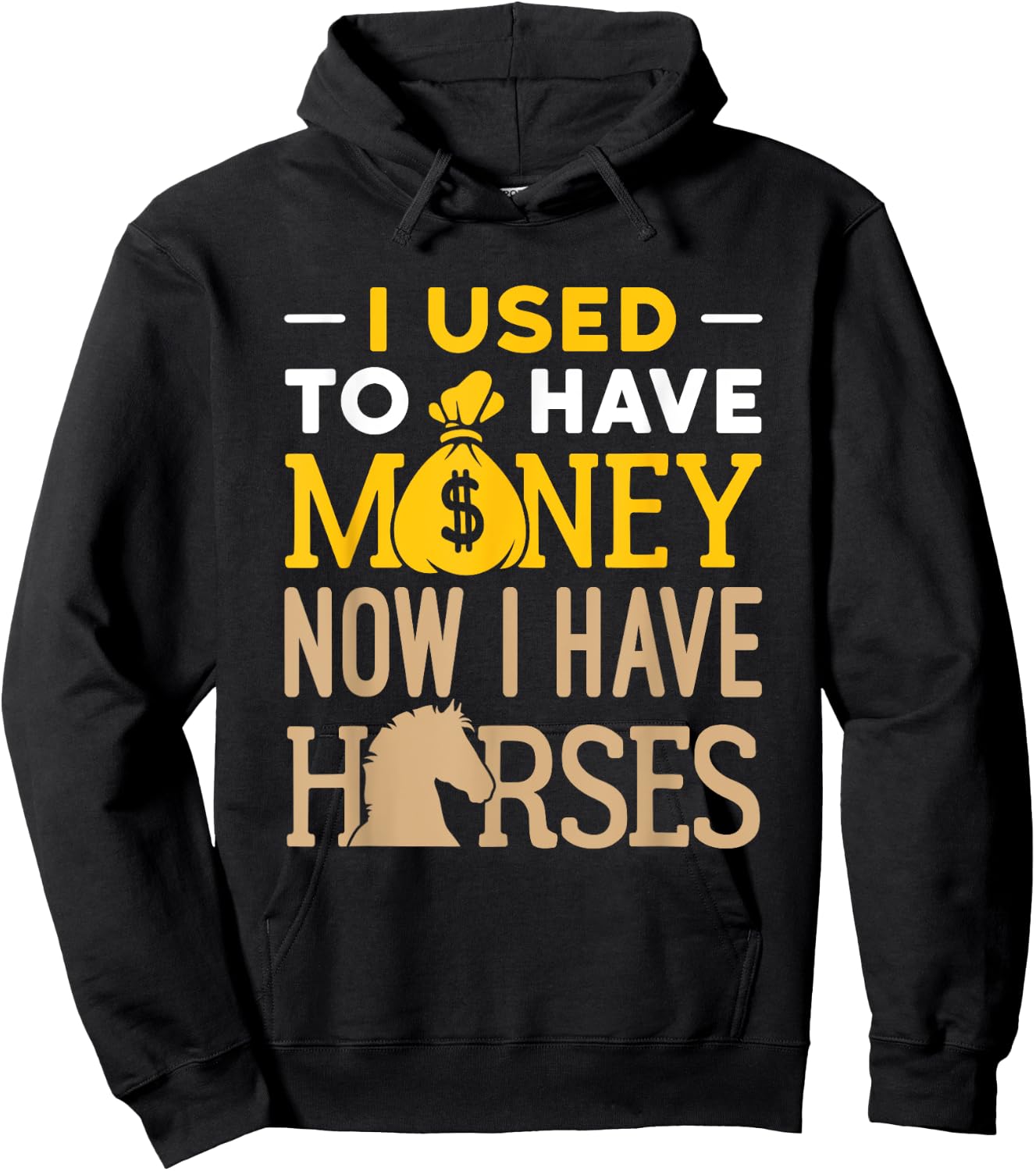 I Used to Have Money Now I Have Horses Funny Horse Owner Hoodie - Hoodie | Black