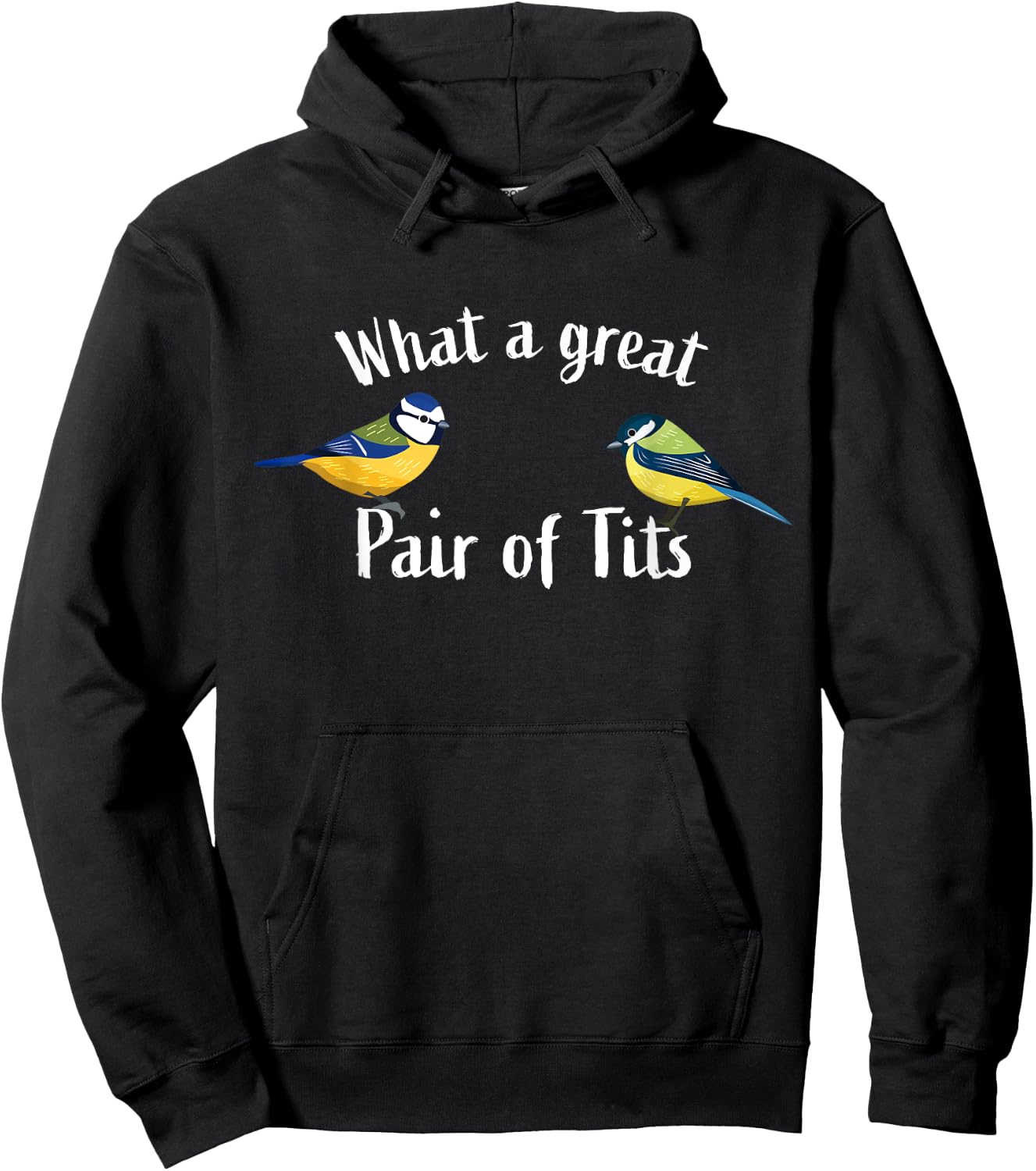 What a great pair of tits | Funny Bird watching gift Hoodie - Hoodie | Black