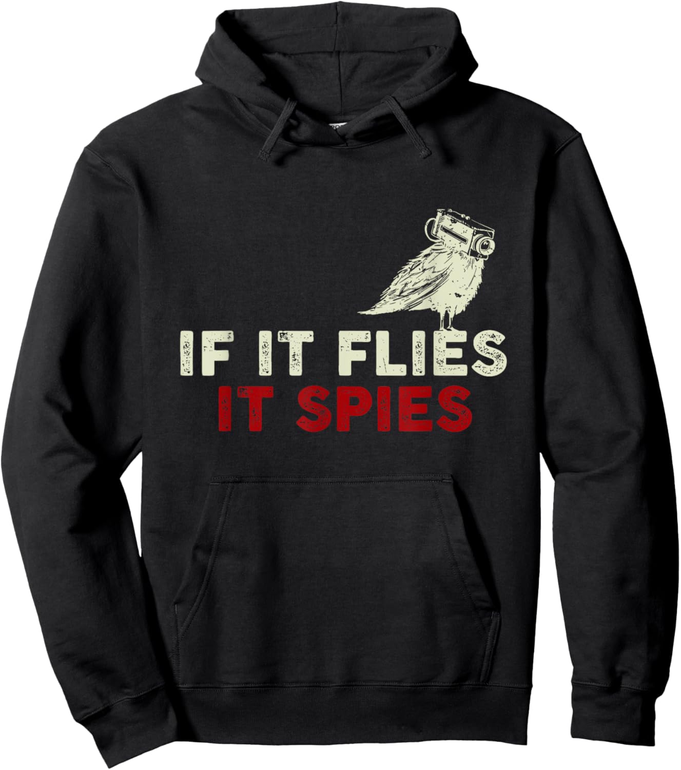When it flies, it spies theory from birds are not Hoodie - Hoodie | Black