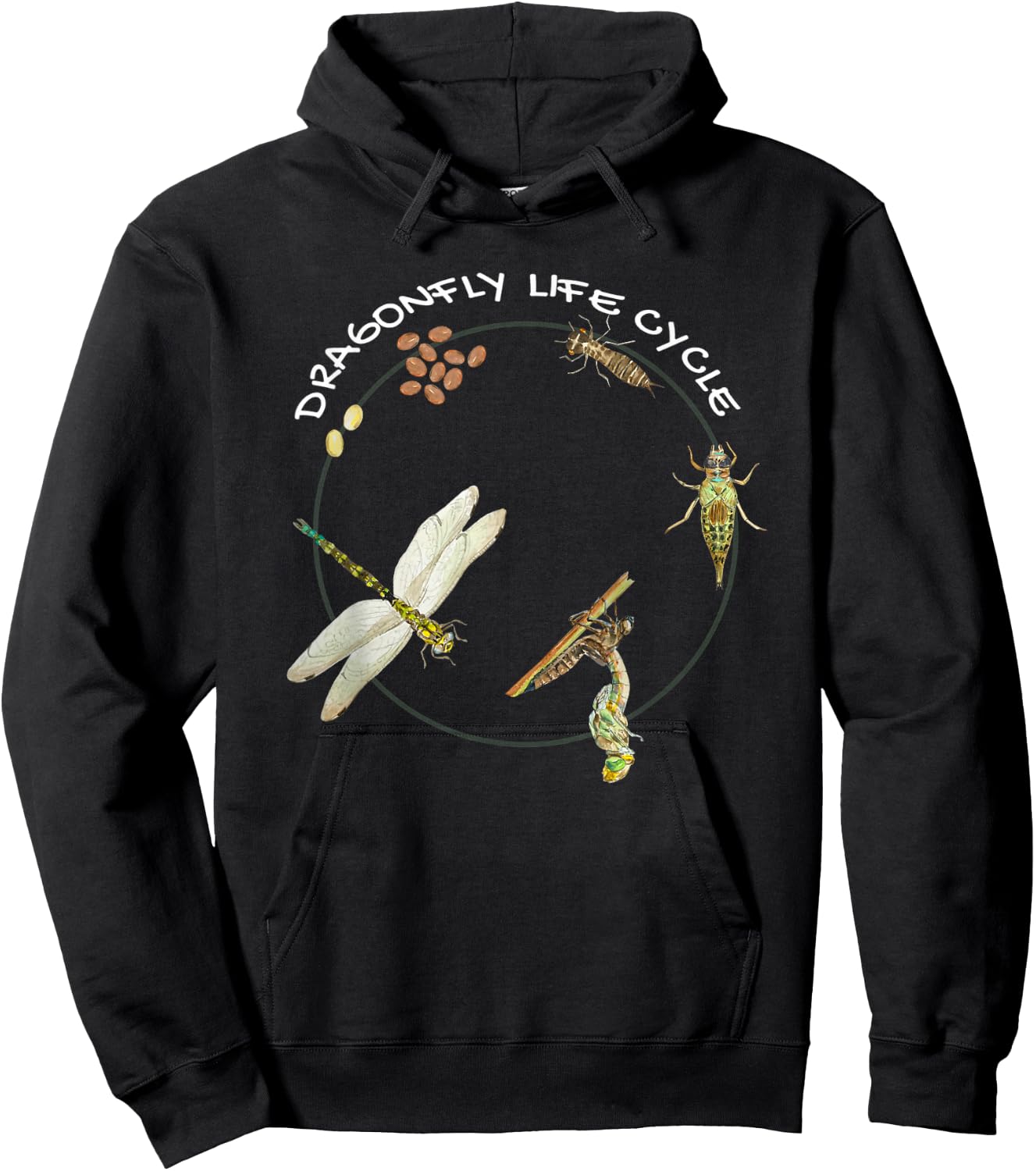 Dragonfly Life Cycle Facts 3 Stages Insect Development Hoodie - Hoodie | Black
