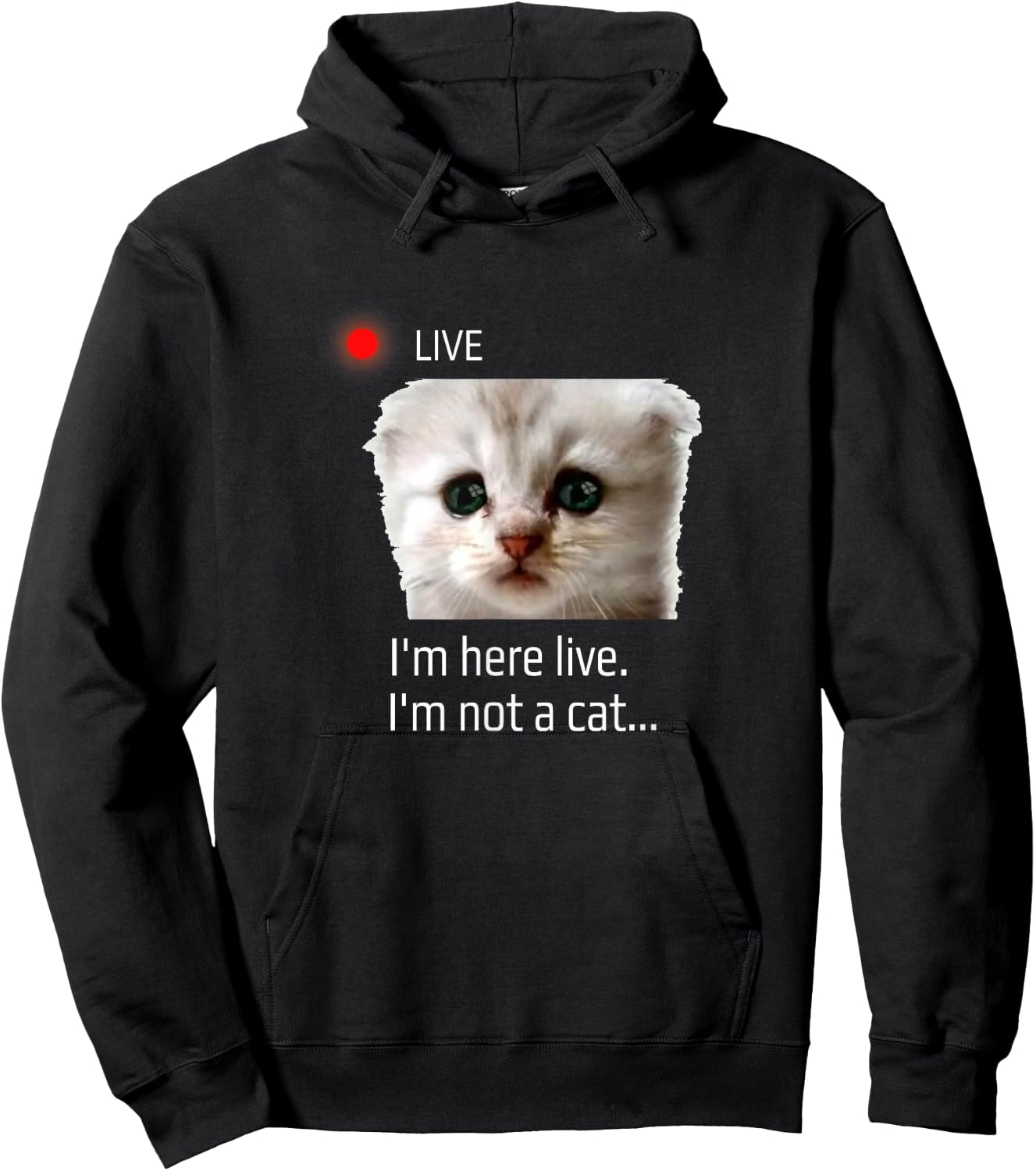 I'm here live. I'm not a cat funny meme lawyer cat filter Hoodie - Hoodie | Black