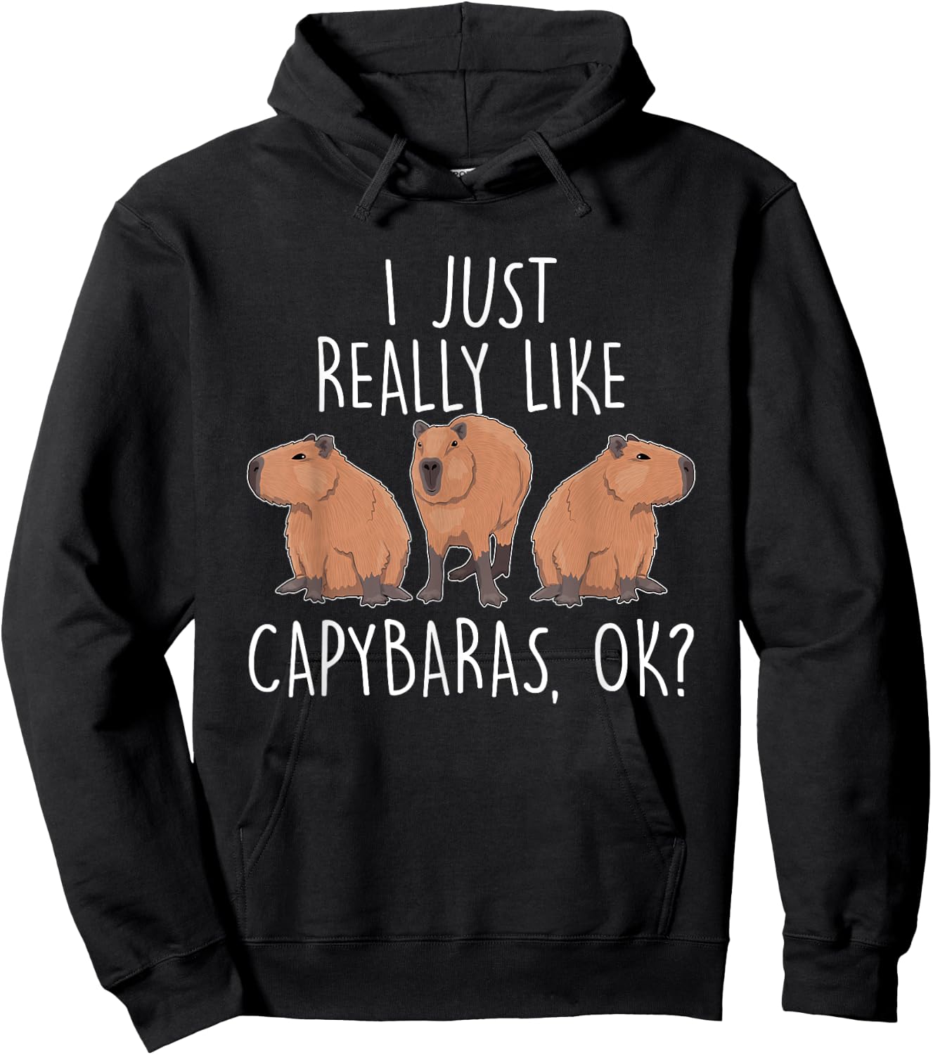I Just Really Like Capybaras Ok – Rodent Pet Owner Carpincho Hoodie - Hoodie | Black