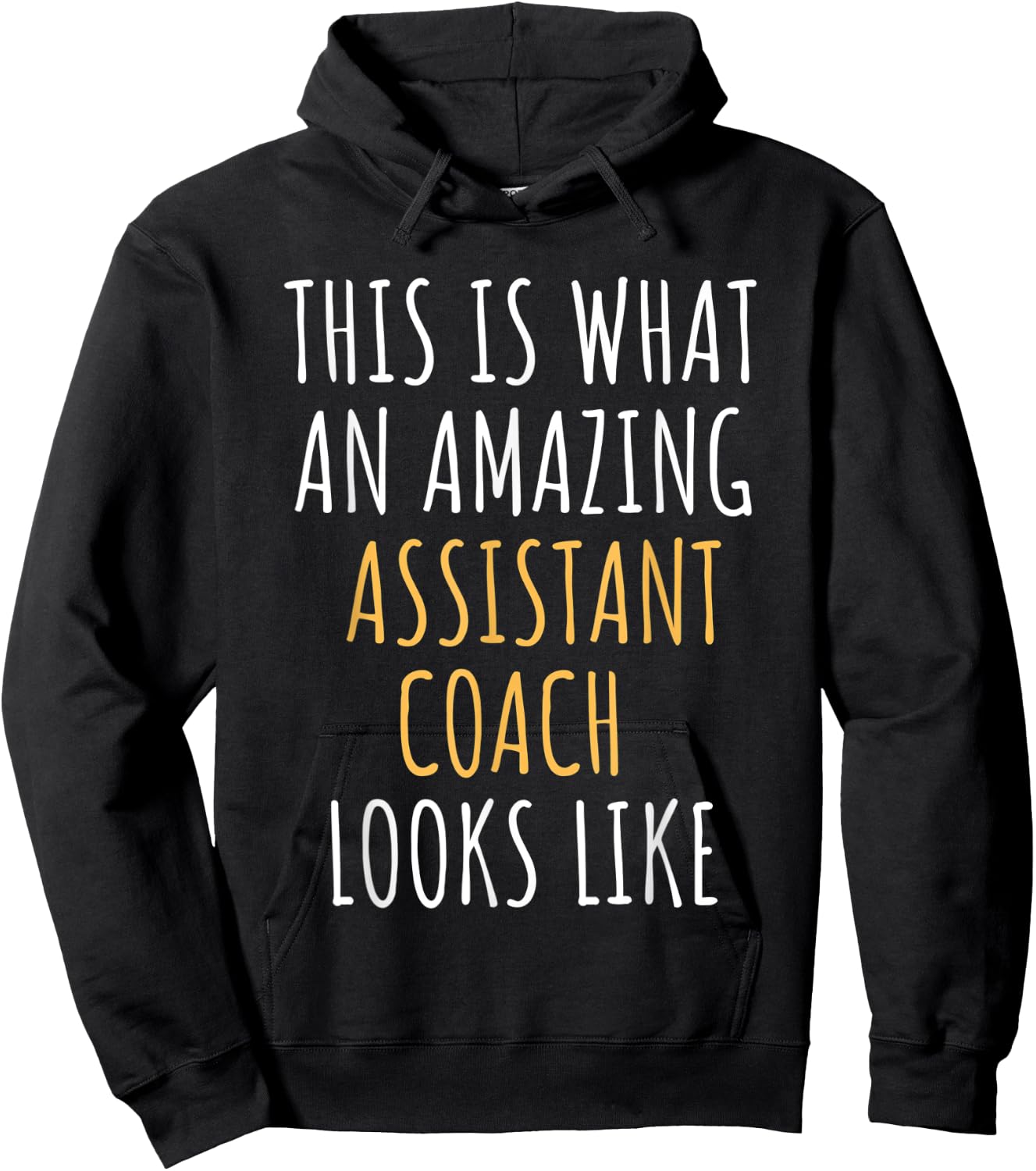 Assistant Coach Appreciation Thank You End Of Year Christmas Hoodie - Hoodie | Black
