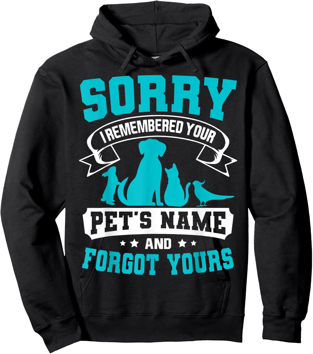 Sorry I Remembered Your Pet's Name But Not Yours Hoodie - Hoodie | Black