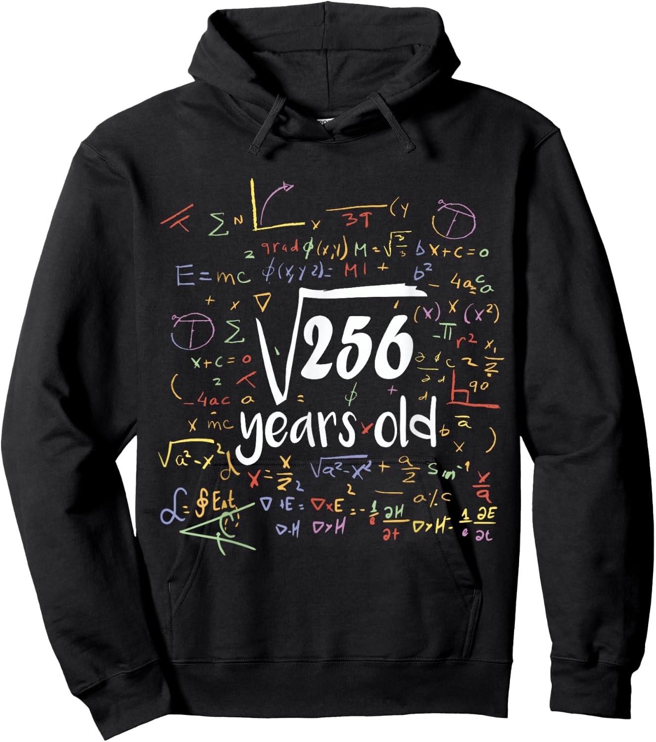Square Root Of 256 - 16th Birthday 16 Year Old Math Bday Hoodie - Hoodie | Black