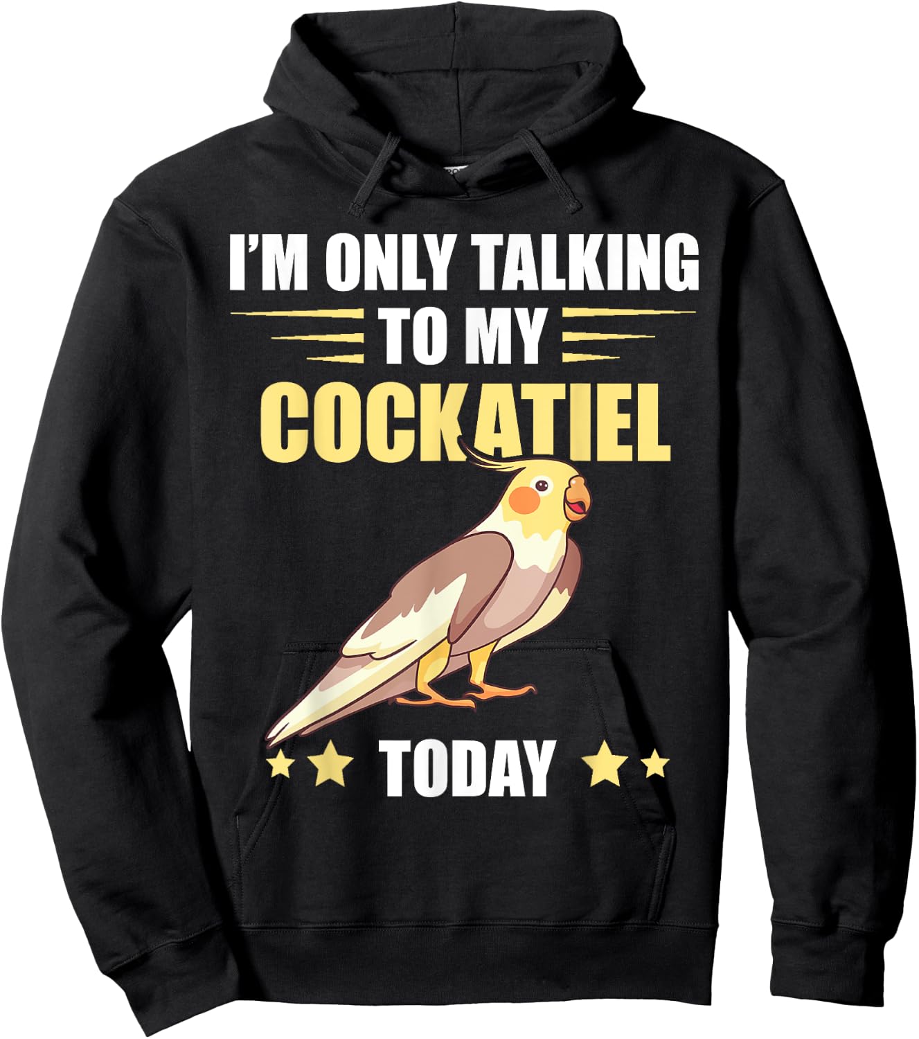 Cockatiel I'm Only Talking To My Cockatiel Bird Parrot Lover Hoodie - Hoodie | Black