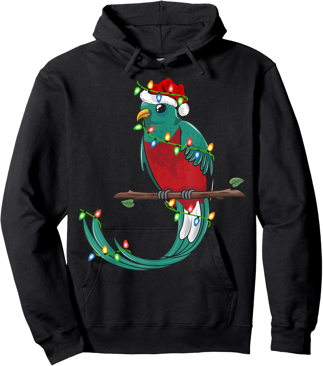Quetzal Bird Lover Xmas Santa Hat Quetzal Christmas Hoodie - Hoodie | Black