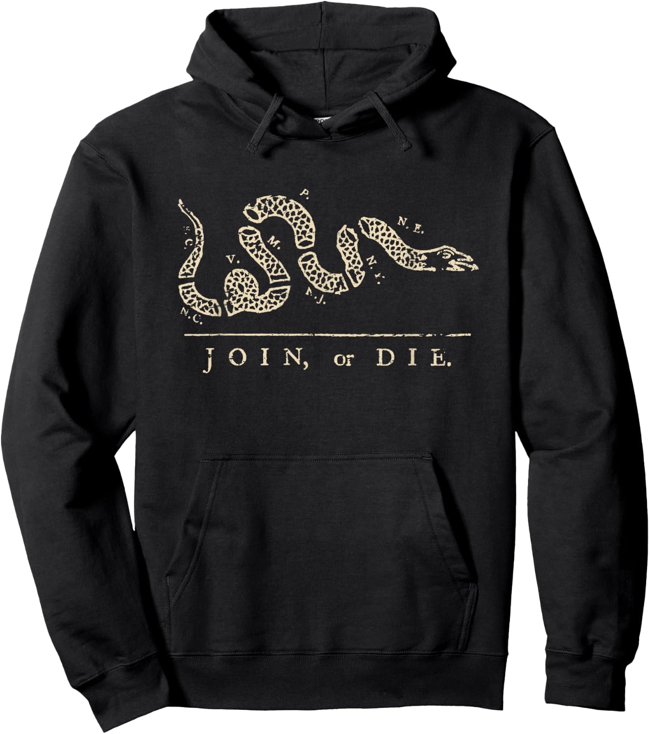 Vintage United States Ben Franklin 1754 Join or Die Snake Hoodie - Hoodie | Black