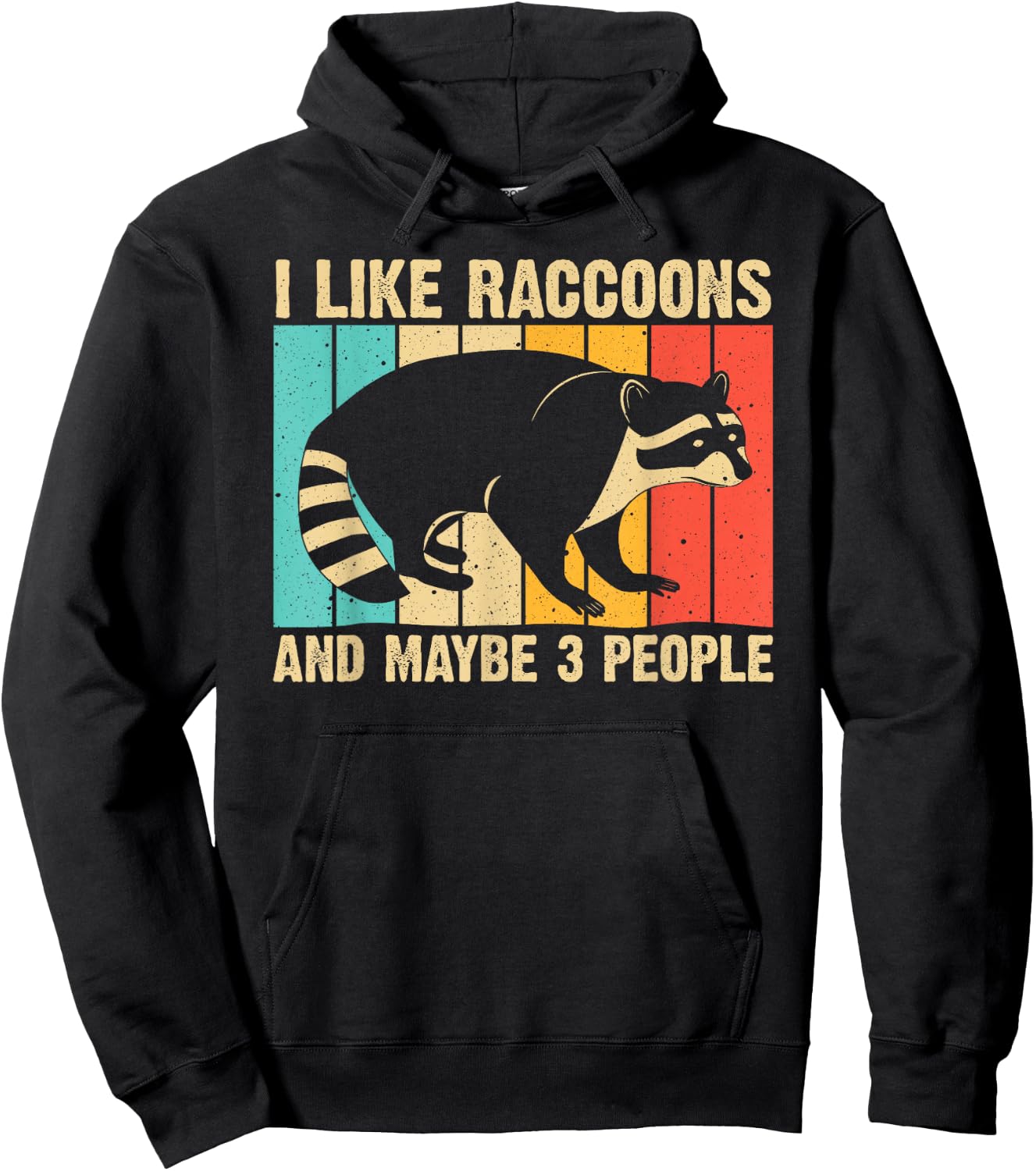 Funny Raccoon Design Women Raccoon Lover Introvert Small Hoodie - Hoodie | Black