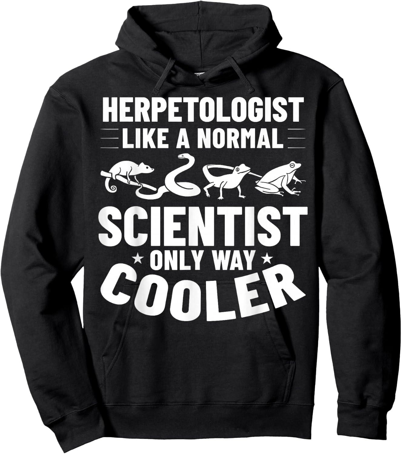 Herpetology Herping Amphibians Reptile Herpetologist Hoodie - Hoodie | Black