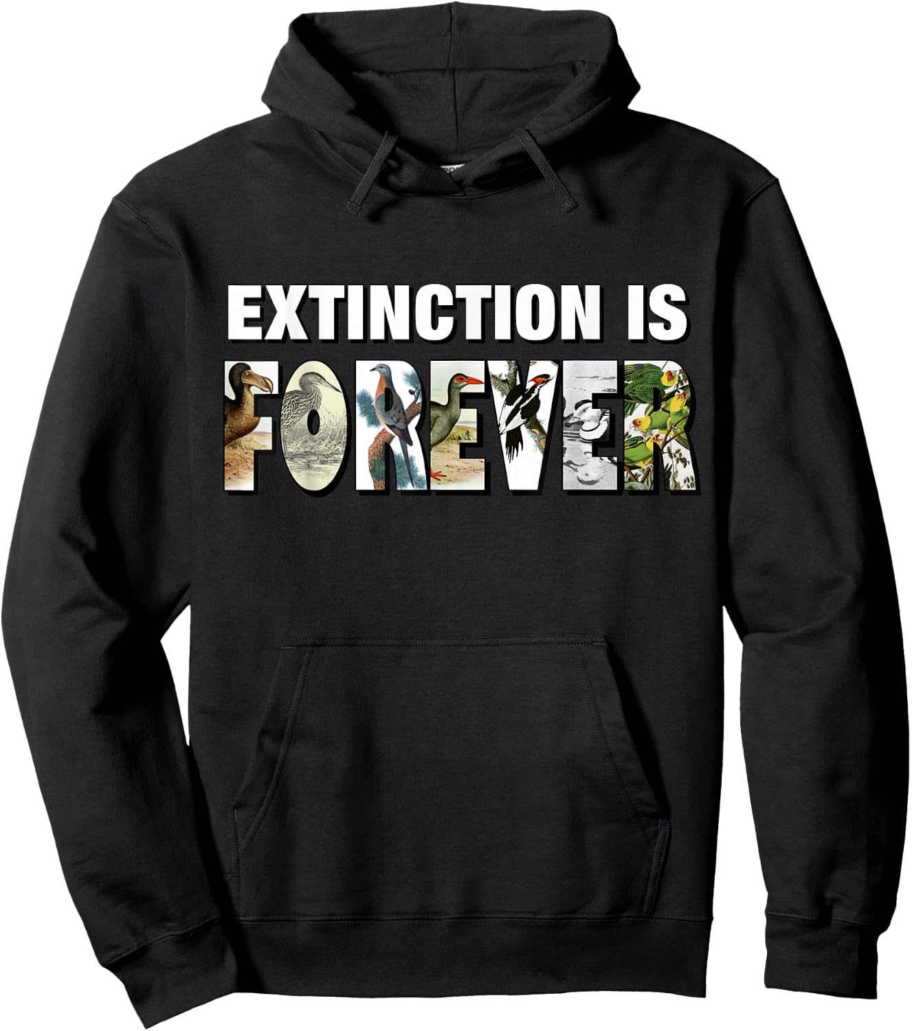 Extinction is Forever Graphic Extinct Birds Conservation Hoodie - Hoodie | Black