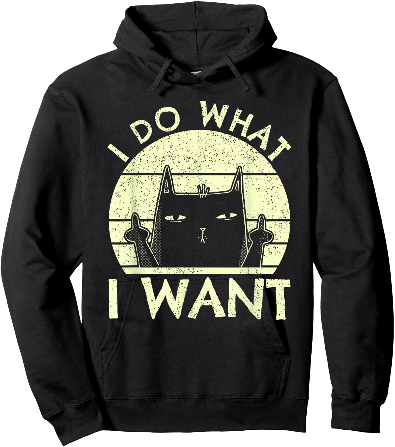 I Do What I Want Cat | Funny Graphic Vintage Retro Cat Lover Men Women Hoodie - Hoodie | Black