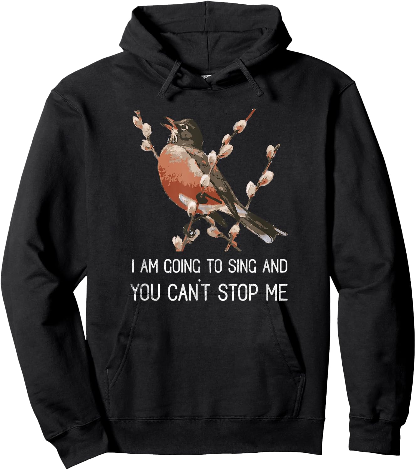 Red Robin's Singing Warning I'm Going to Sing Bird Lover Hoodie - Hoodie | Black